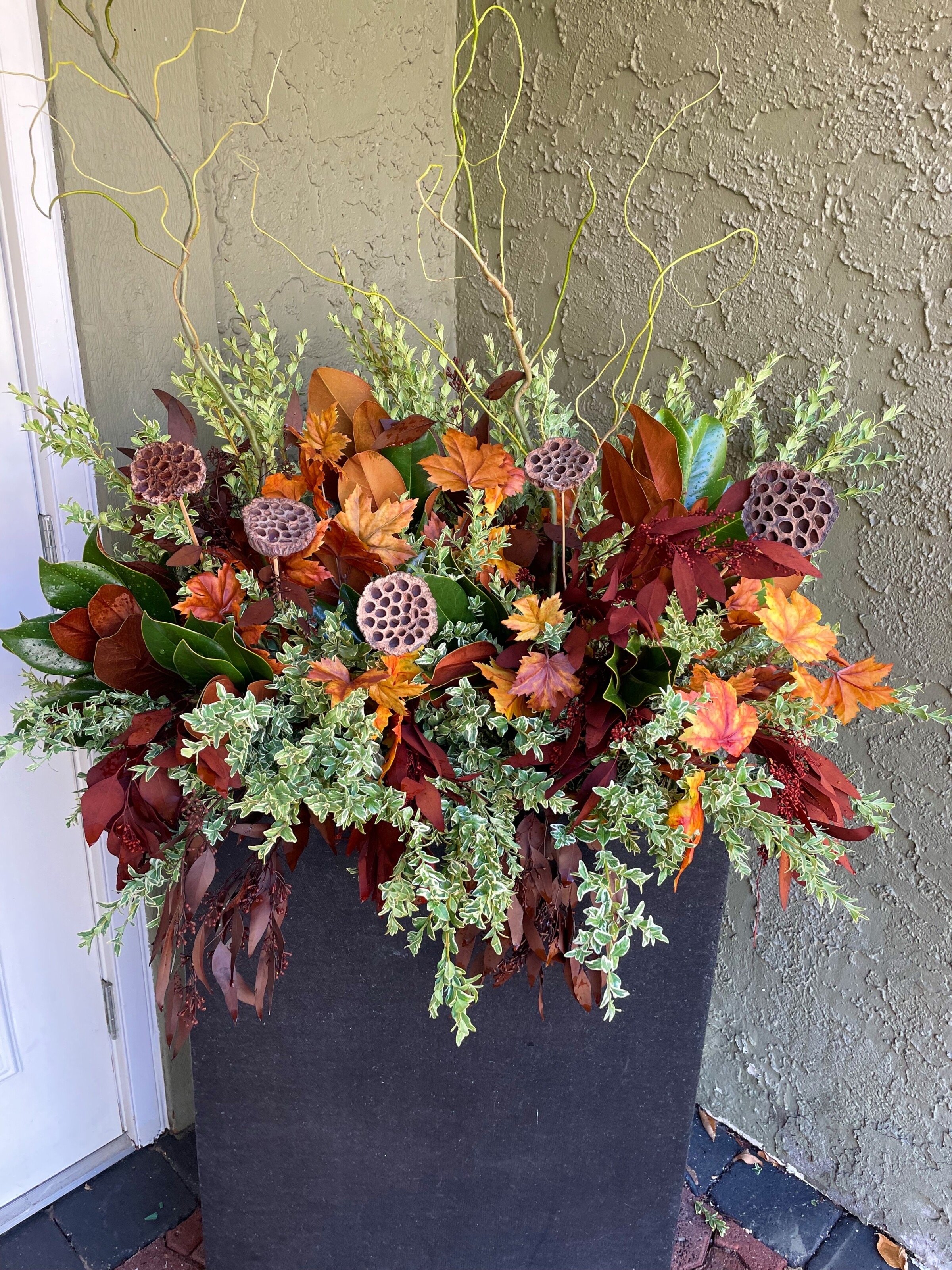 Seasonal Containers — Hen & Chicks