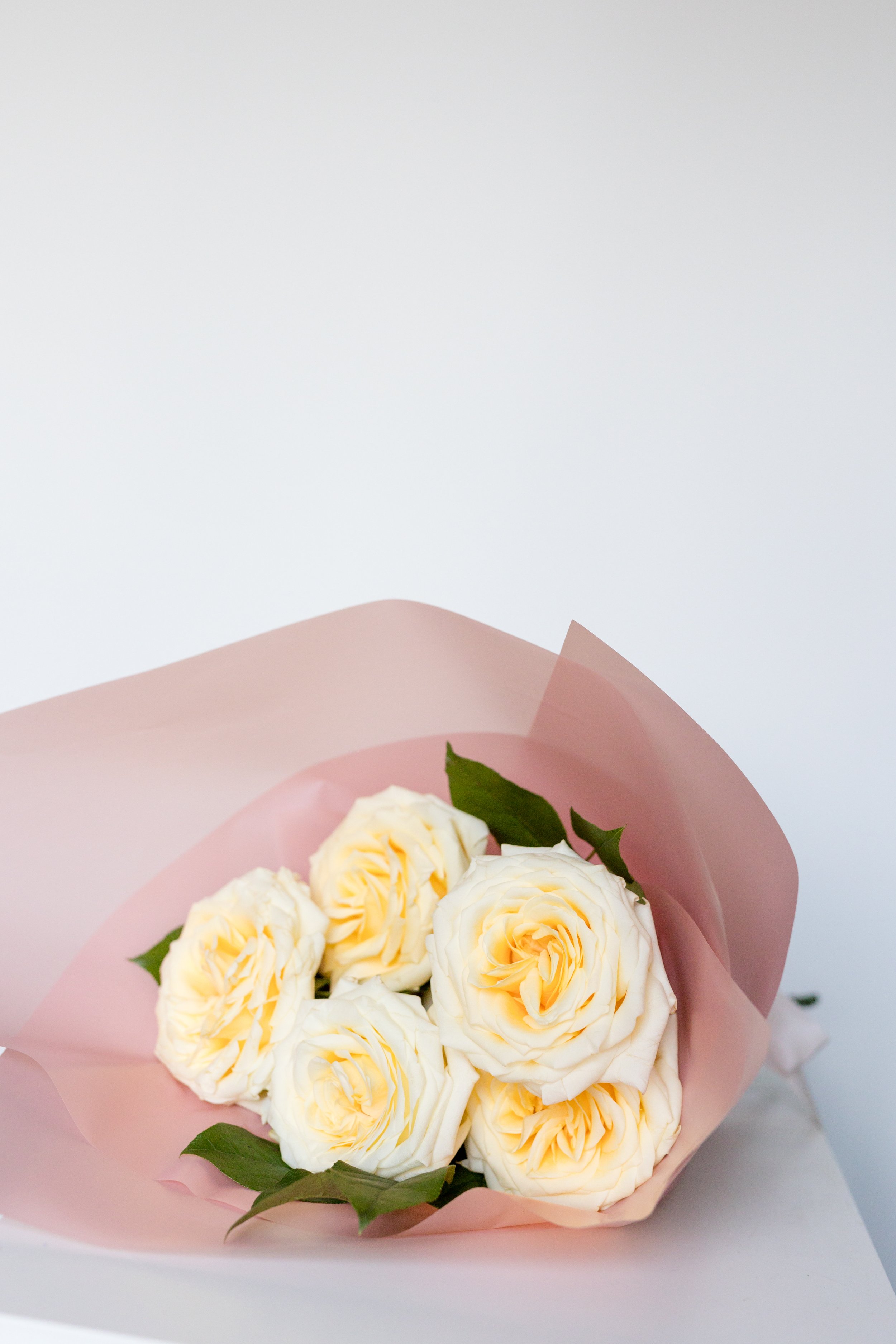 {The Secret} Rose Garden