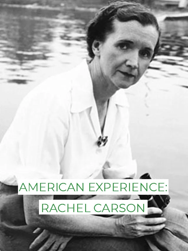 2017  Stanley Nelson