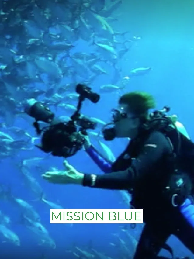 2014 Fisher Stevens, Robert Nixon