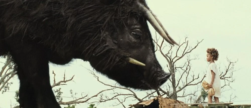 BeastsoftheSouthernWild-3.jpg