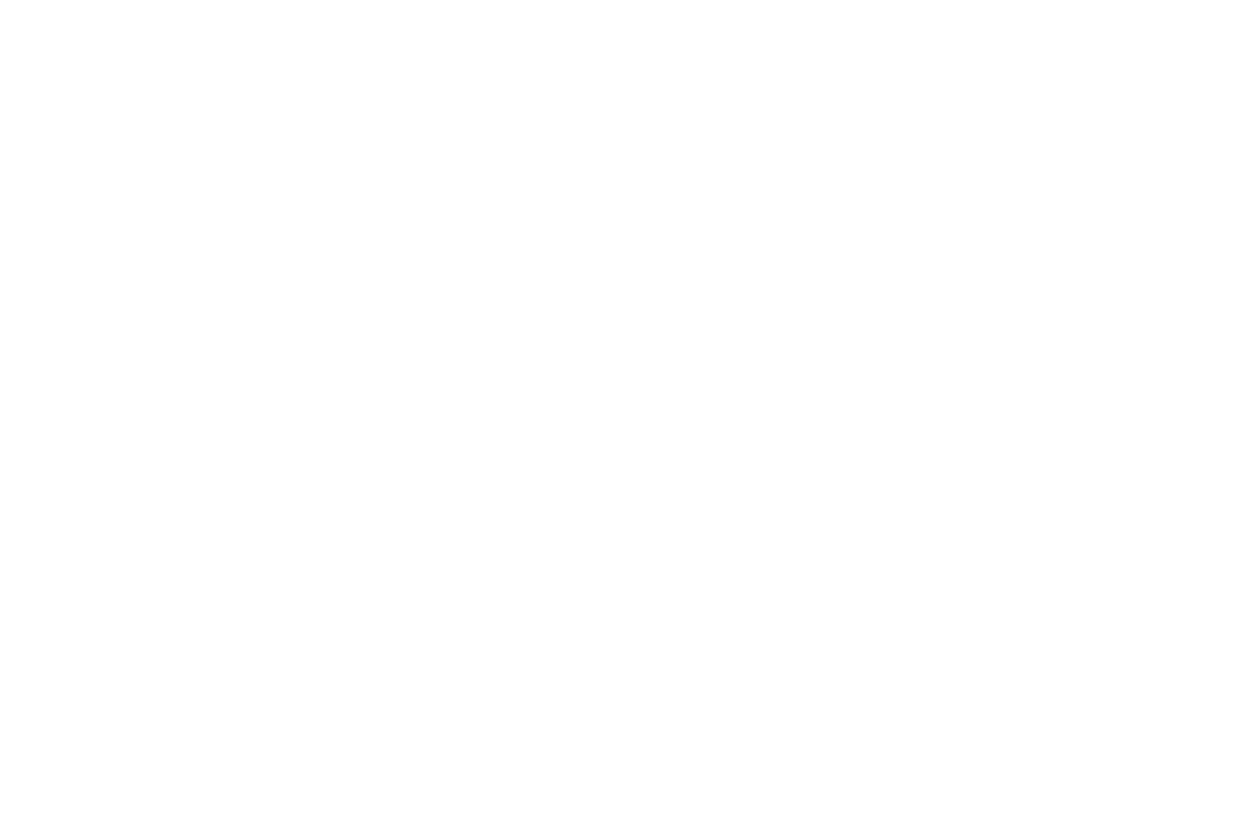 2_RL_PF_Logo_2022_white.png