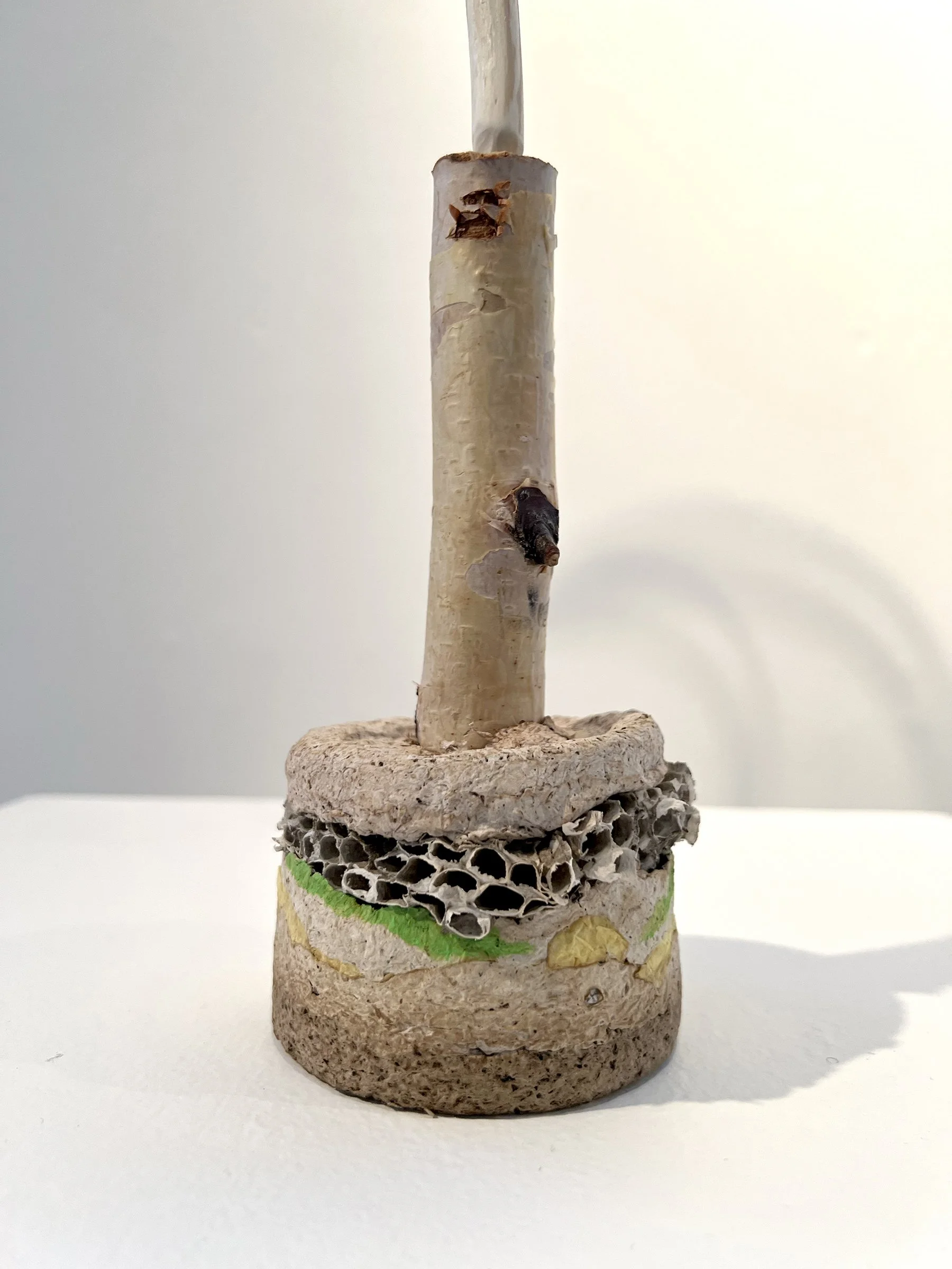 ExtendedFieldSculpture.jpg