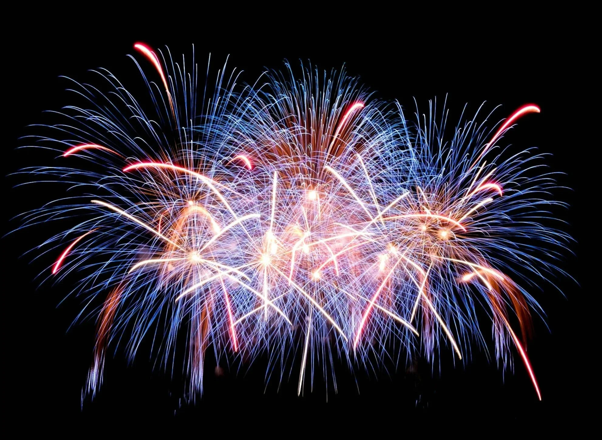 Happy Independence Day! (Copy)