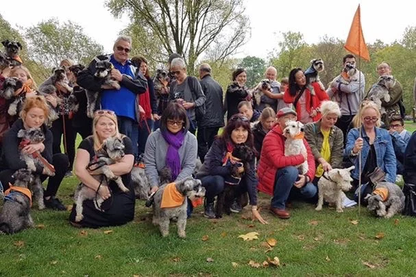 6.SchnauzerfestSettingOff2.jpg
