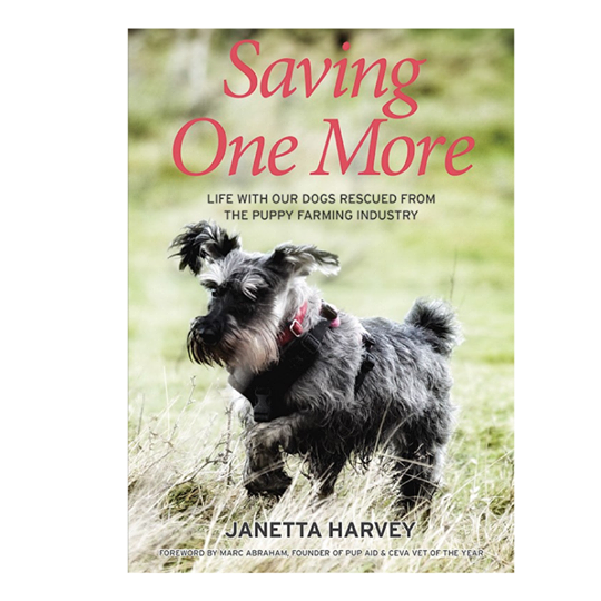 SavingOneMore.png