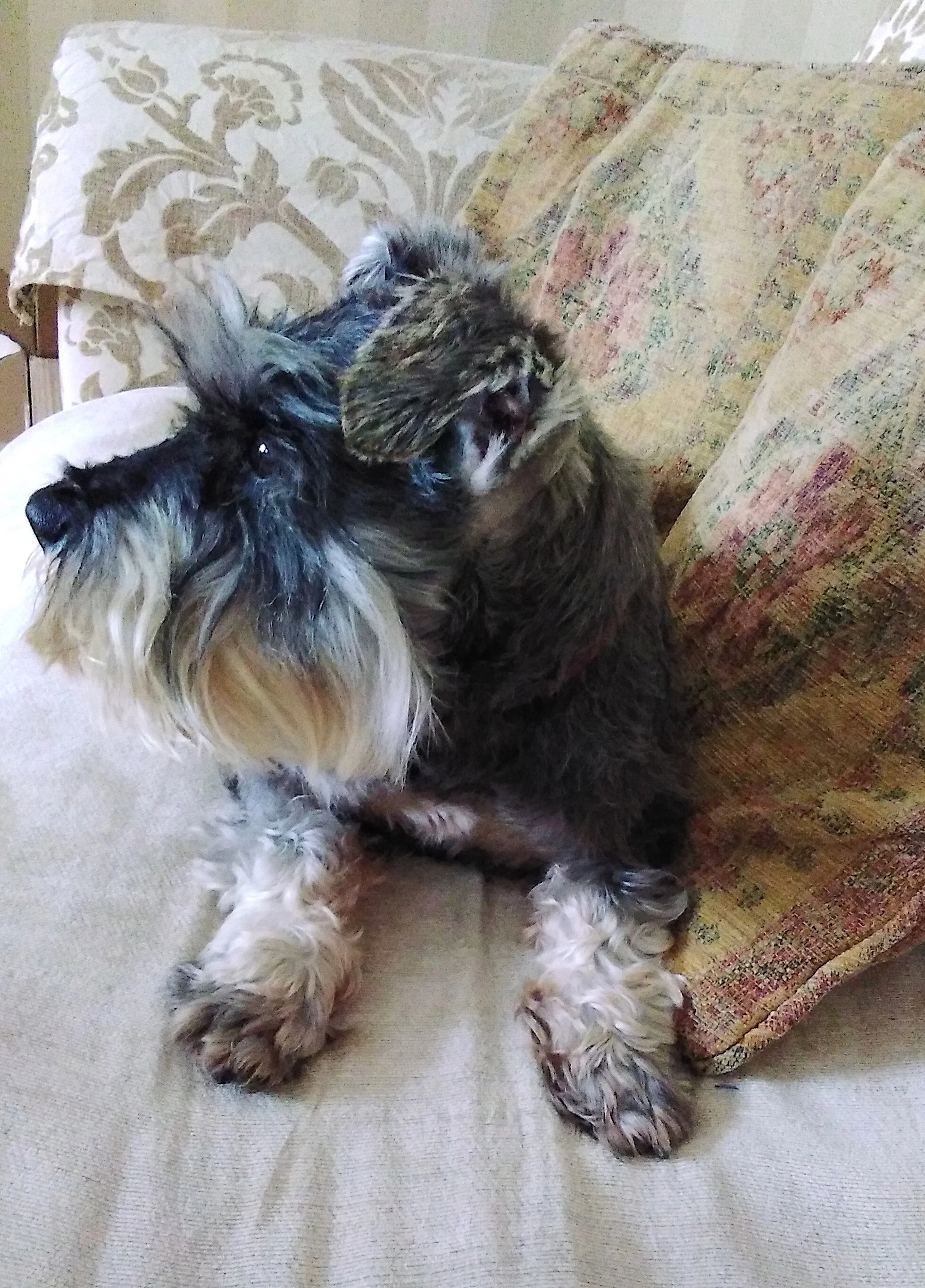 Alfie