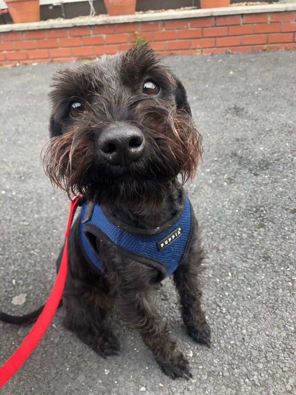 Charlie1.jpeg