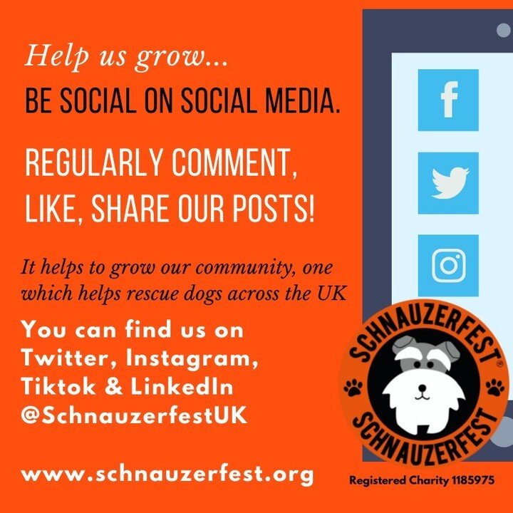 Helping the #Schnauzerfest community to grow helps the charity give help wherever, whenever and for whoever it's needed. It really makes a difference when you like, put a comment on and share our posts 😊 

🔥 You&rsquo;ll find us across social media