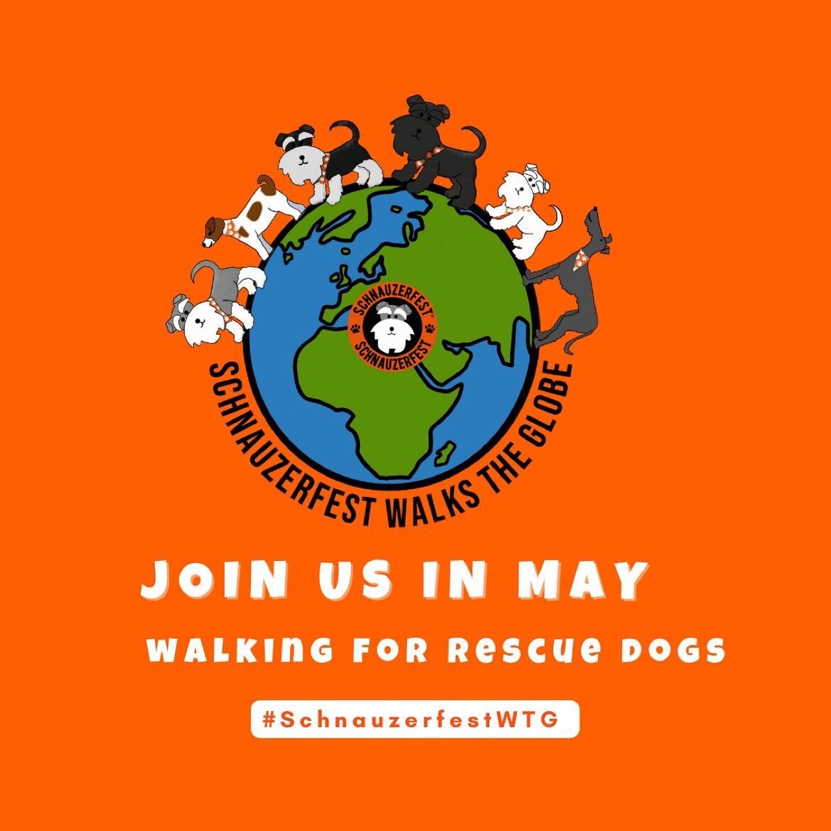 🧡NEW for May🧡 
Open now! 
If you are on our mailing list you'll have received details today of our big new MAY walking challenge. Take a look at our website for how to take part, we're ready for your pledges 😁 
https://www.schnauzerfest.org/walkst