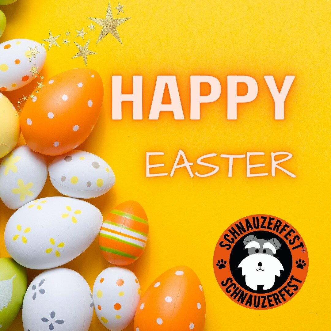 🐇 Happy Easter everyone 🐥

We hope to say hello to lots of you at All About Dogs Show, Newbury over the next couple of days, but however and wherever you're spending Easter, have a great time.

#SchnauzerfestUK
#SchnauzerfestCharity
#Schnauzerfest