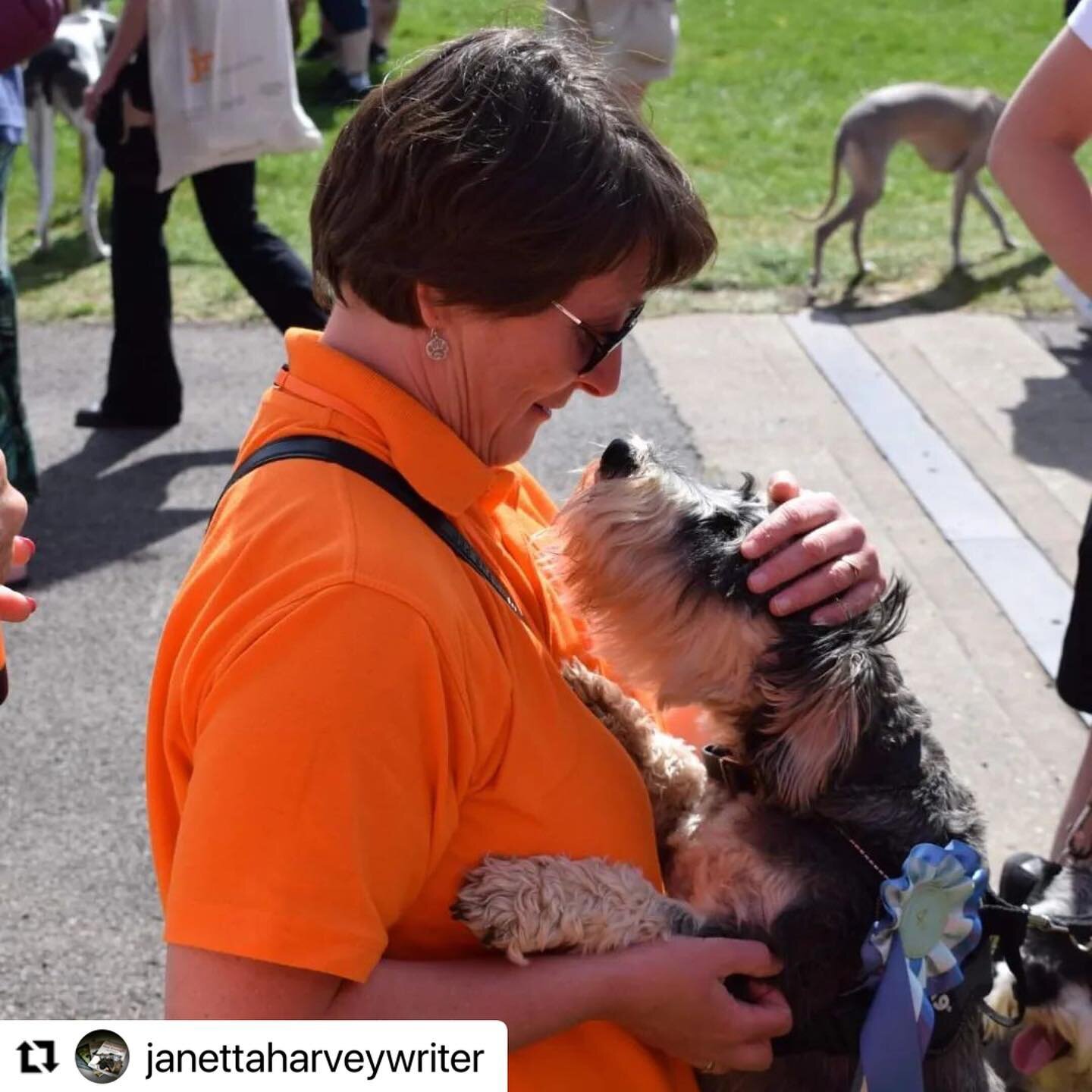 Such a beautiful photo 🧡 

Meeting many of the dogs helped by #schnauzerfest is one of the most wonderful things about this weekend @allaboutdogsshow 

#schnauzerfest #schnauzerfestuk #schnauzerfestcharity #rescuedogs