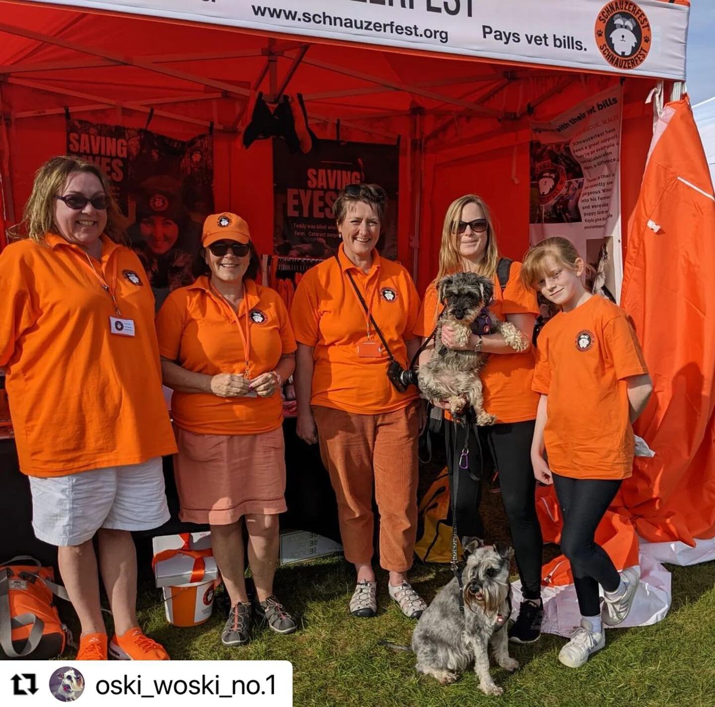 There were a gazillion great things about the weekend spent at @allaboutdogsshow 🙂 One major highlight was meeting some of the dogs who have been helped by #Schnauzerfest like Calli who is doing brilliantly with her brother Oscar and human family. 
