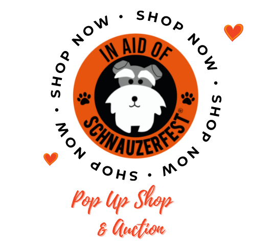 Adopting The Slow Approach to Auctions