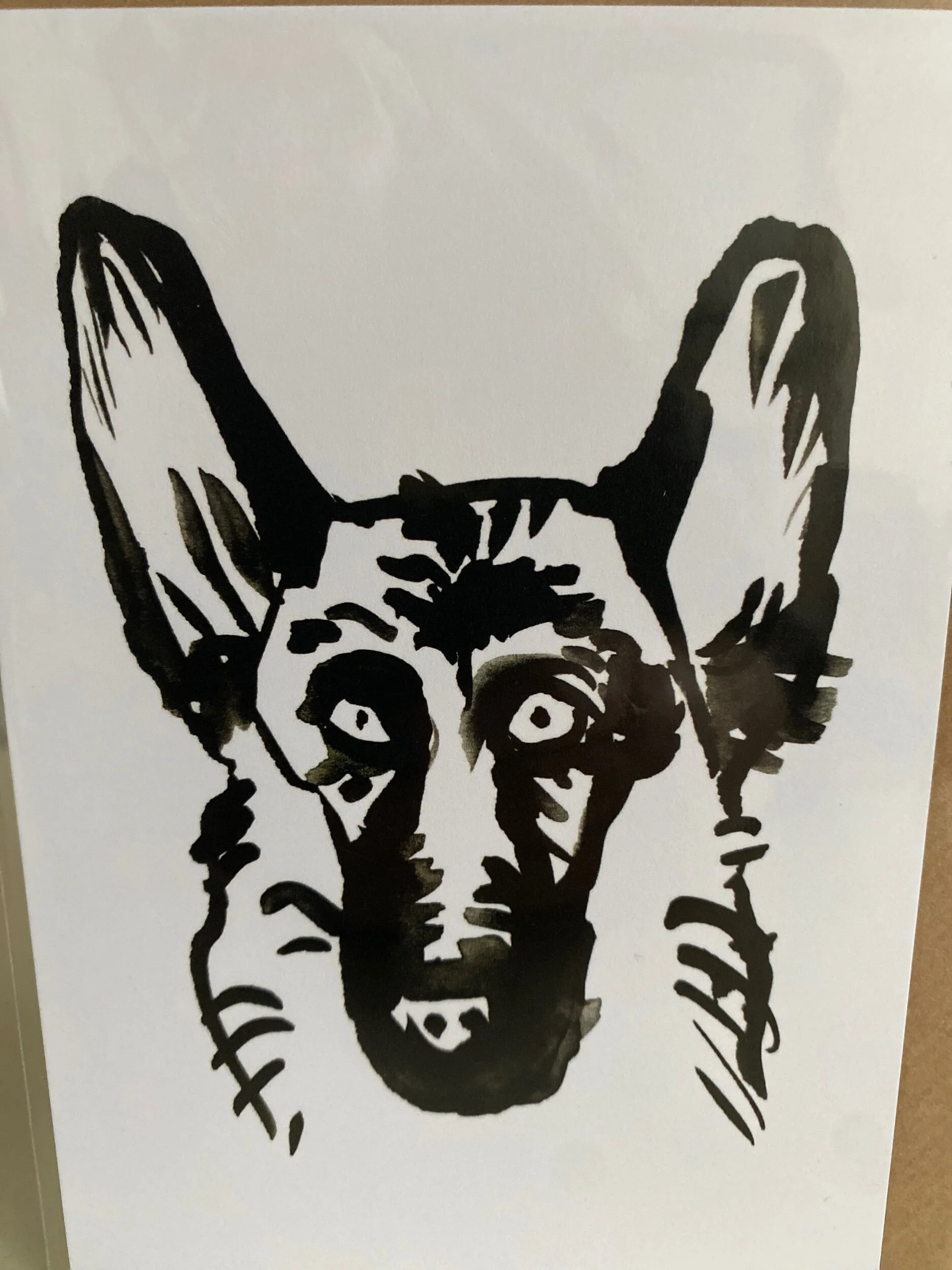 D0FB5C10-BE9A-4C39-9C91-C0CFA62D827C