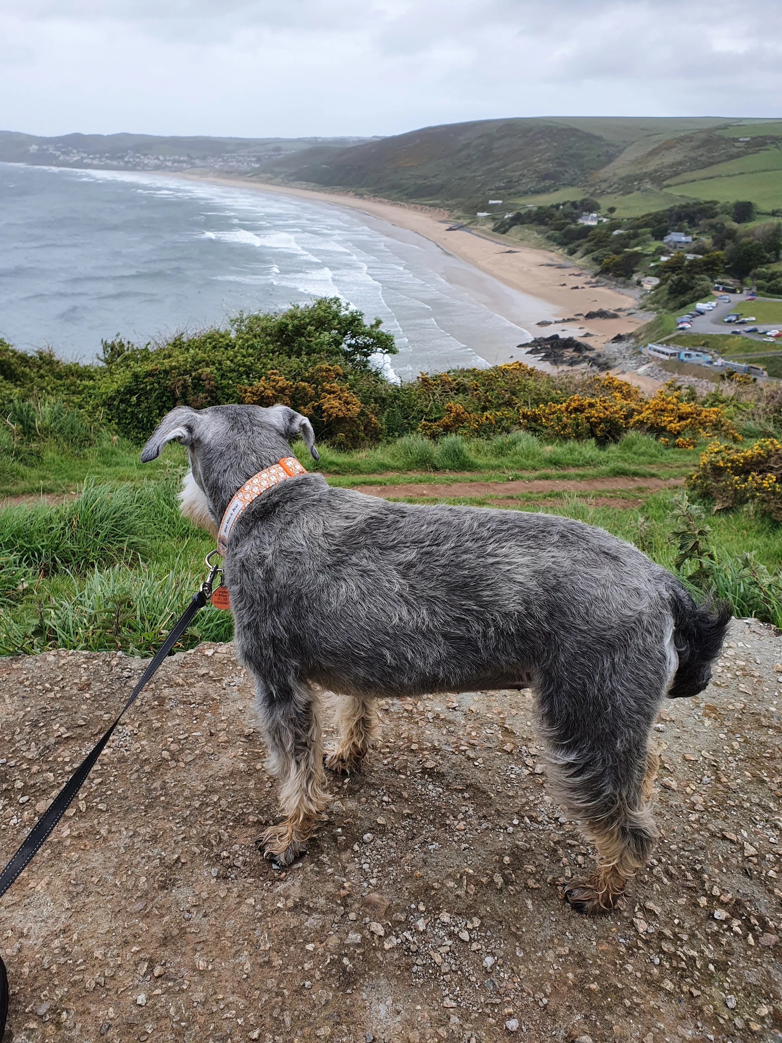 Walking the South West Coast Path 