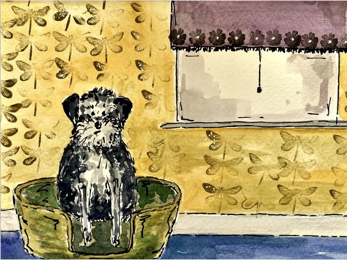 0BFA0FAB-3EC6-4ADE-B1D7-080519E79EB6