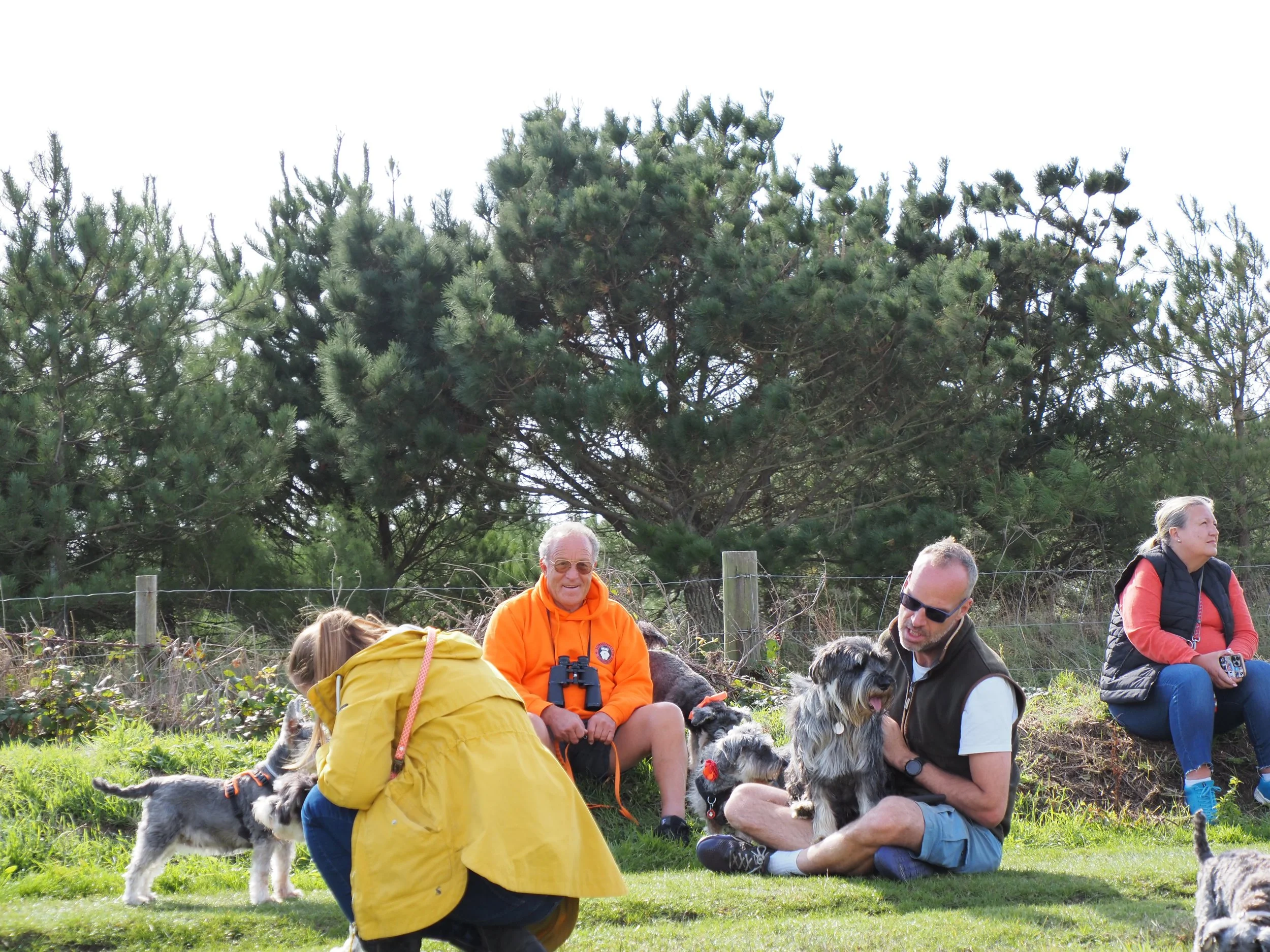 ITV Talks to Guernsey Schnauzers 