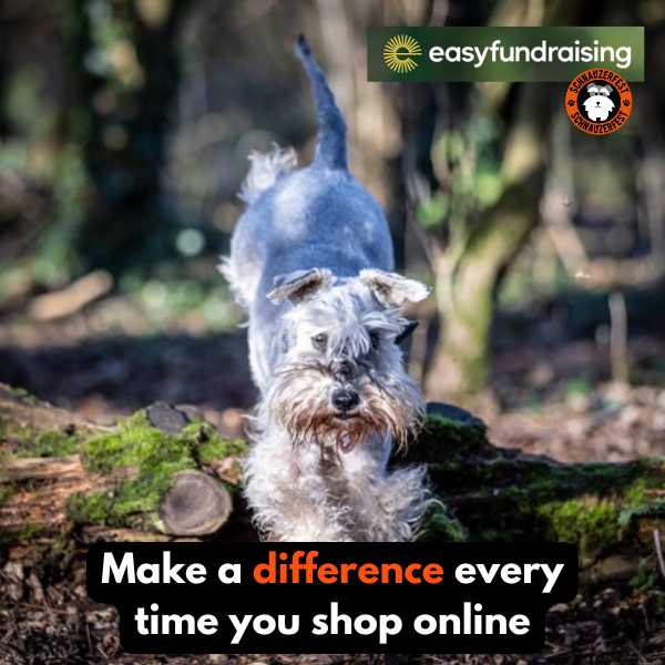 Confessions of an online shopper