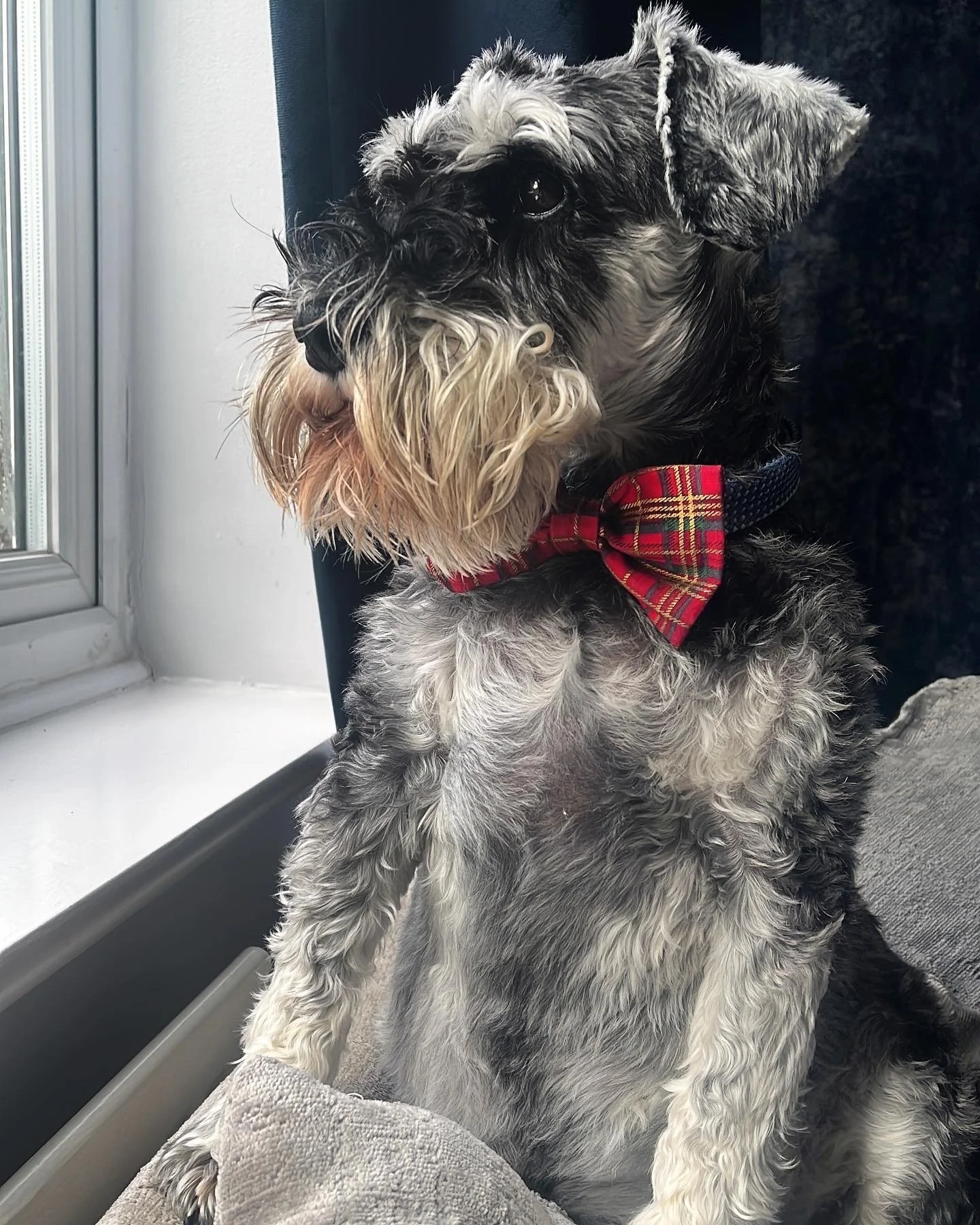 Winston