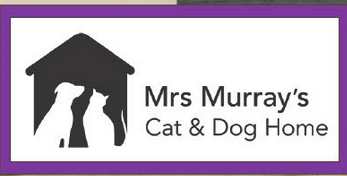 Screenshot 2026-03-07 at 14.43.58.png