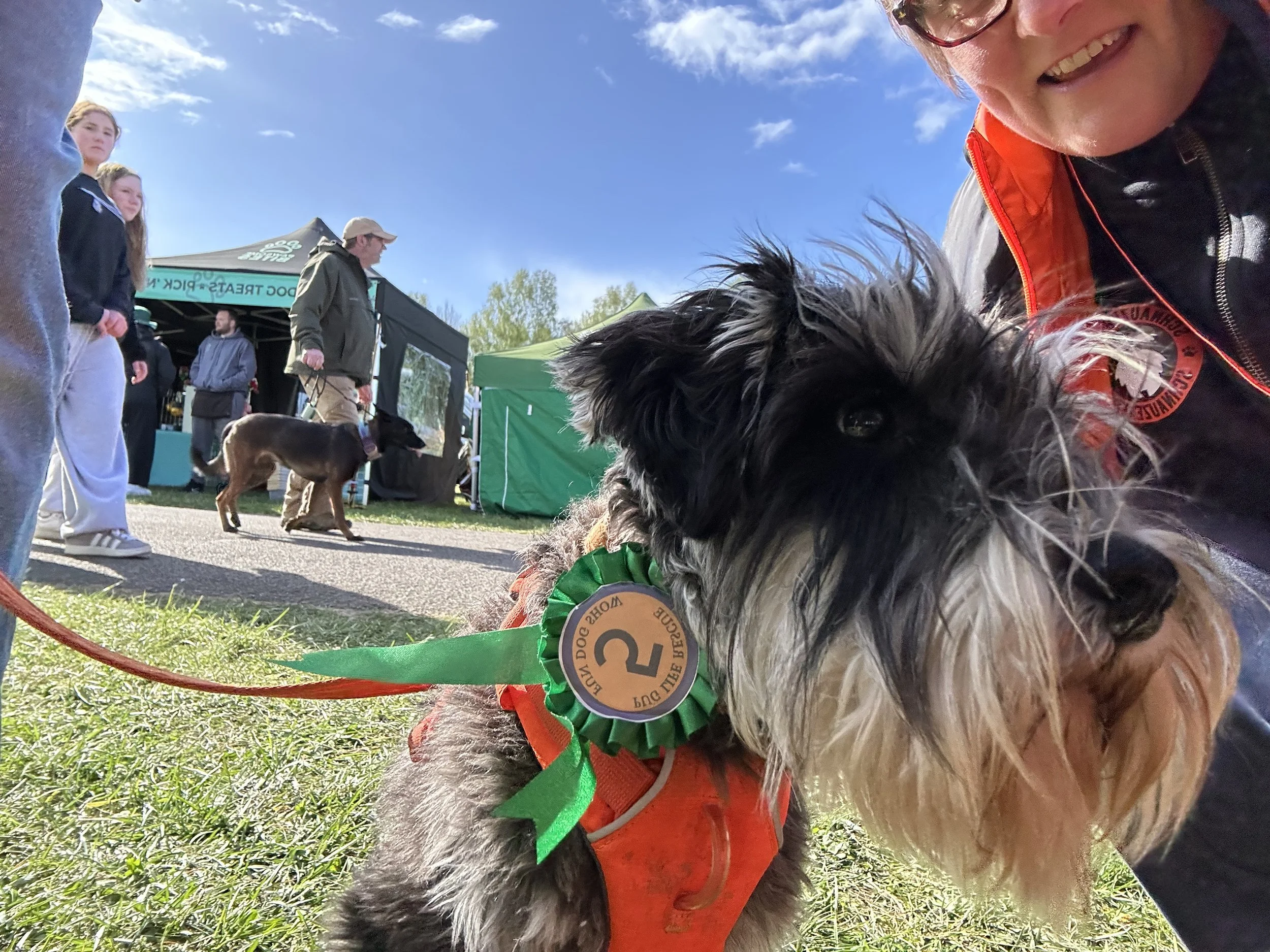 All About Dogs, Newbury