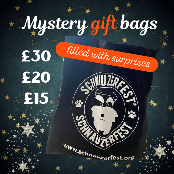 Mystery gift bags.png