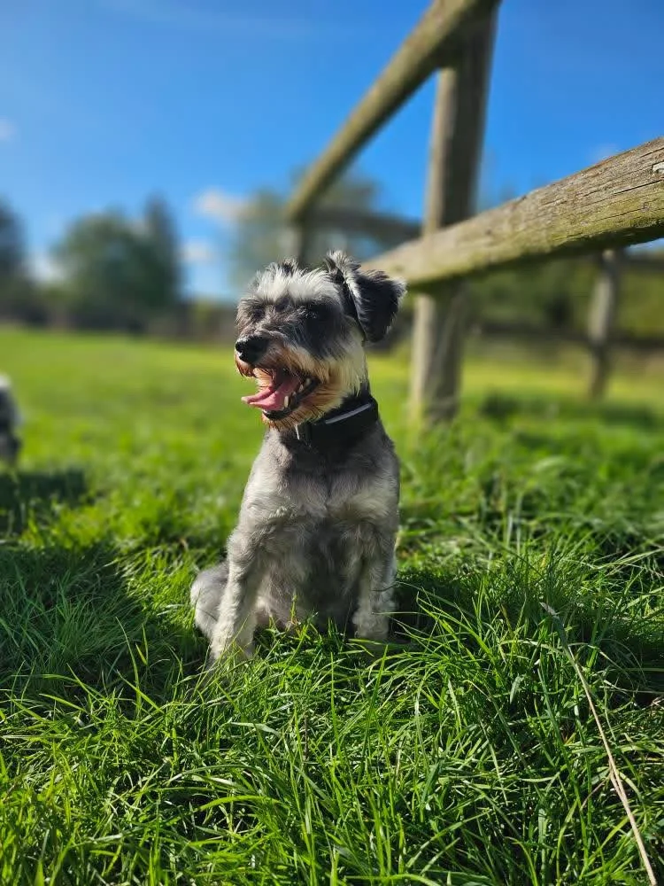 AED4A1AA-76E6-4E72-B5D6-3C1C2FE41457 2.JPG