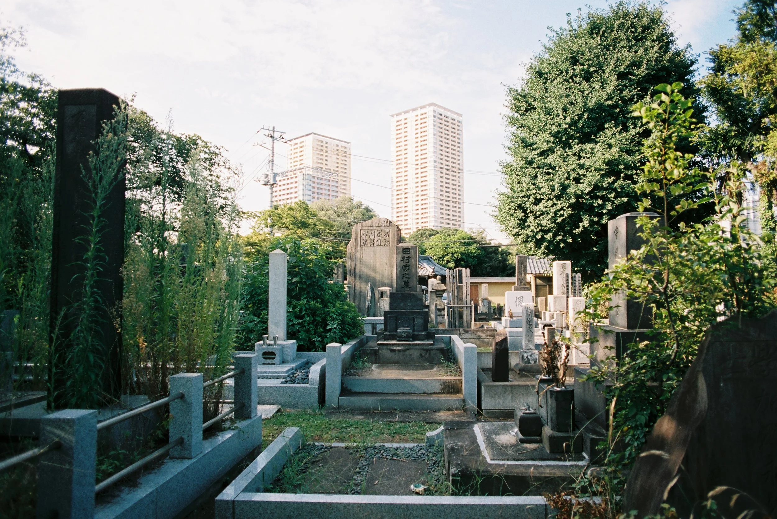 B012593-R8-33-35.JPG