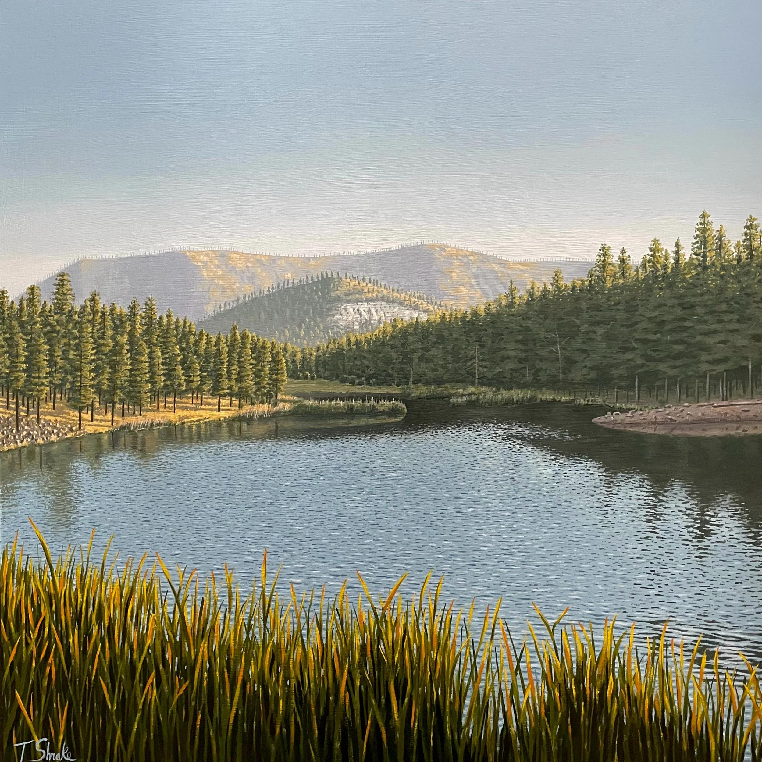 Hulsey Lake