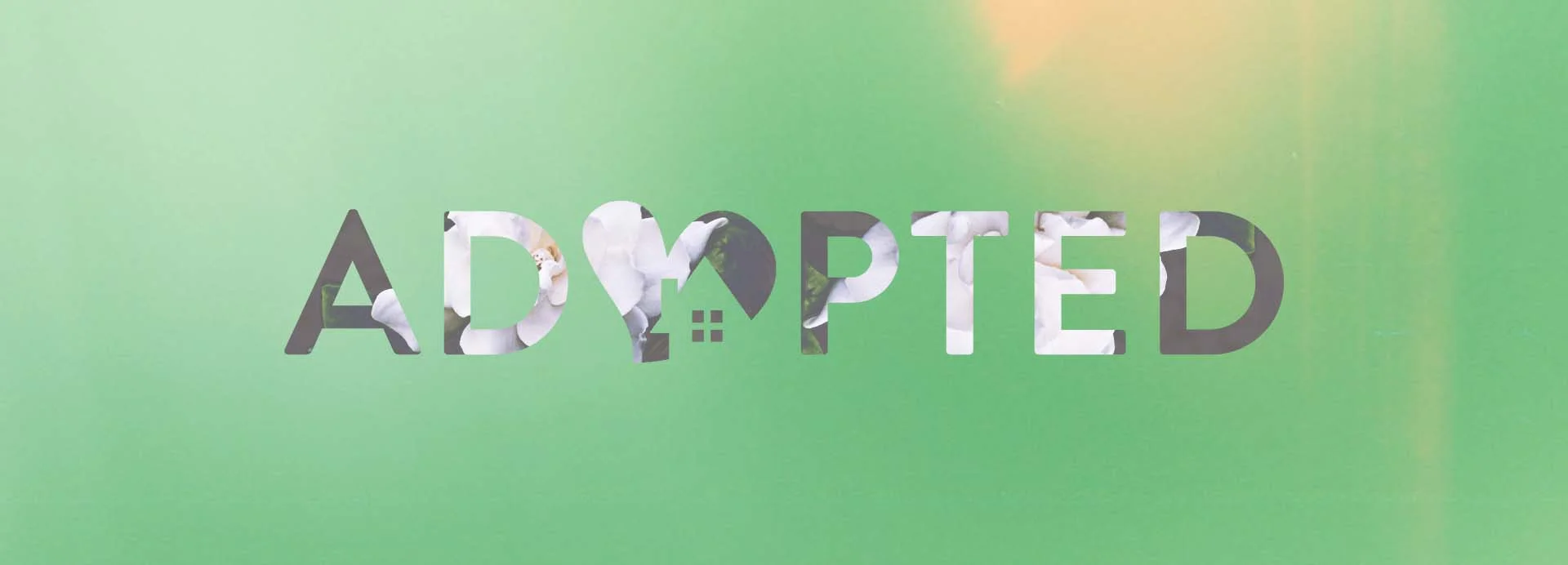 0519 Adopted_Banner.jpg