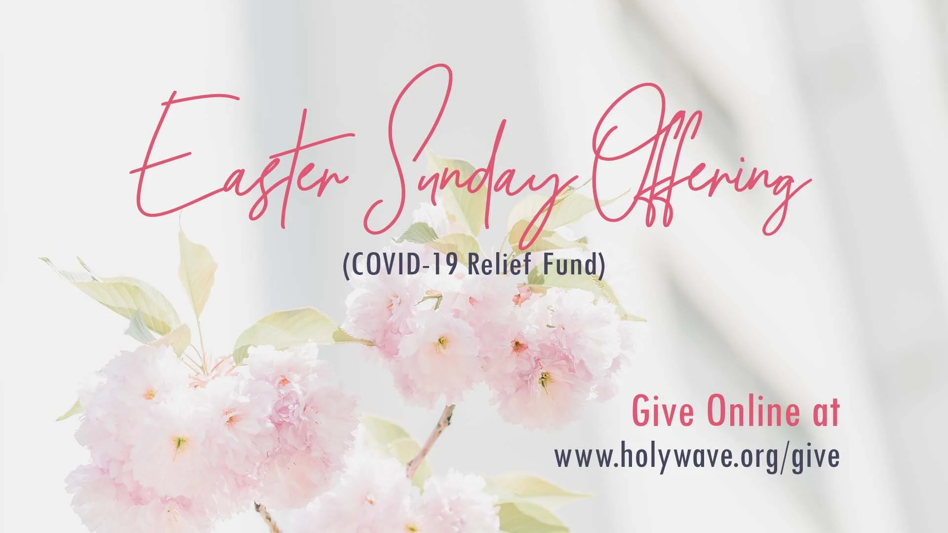 Easter Sunday Offering (COVID-19 Relief Fund)