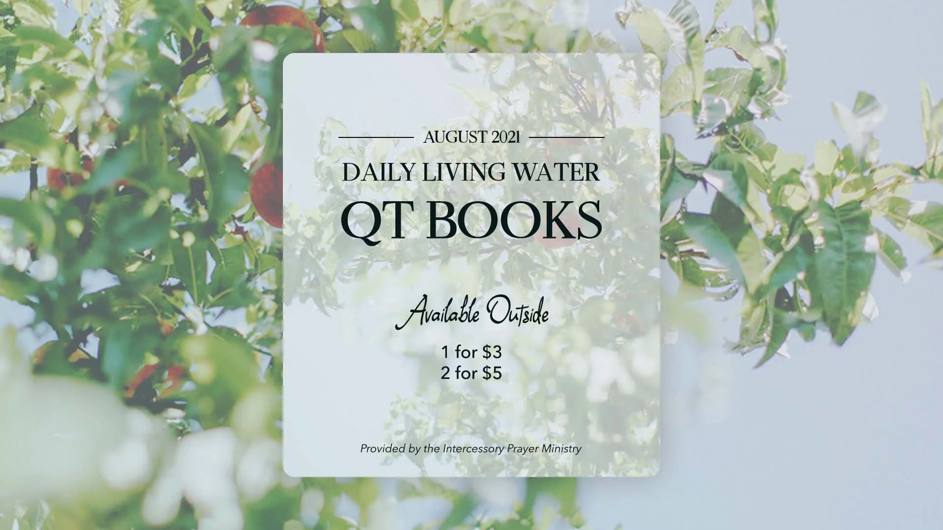 August QT Books Available