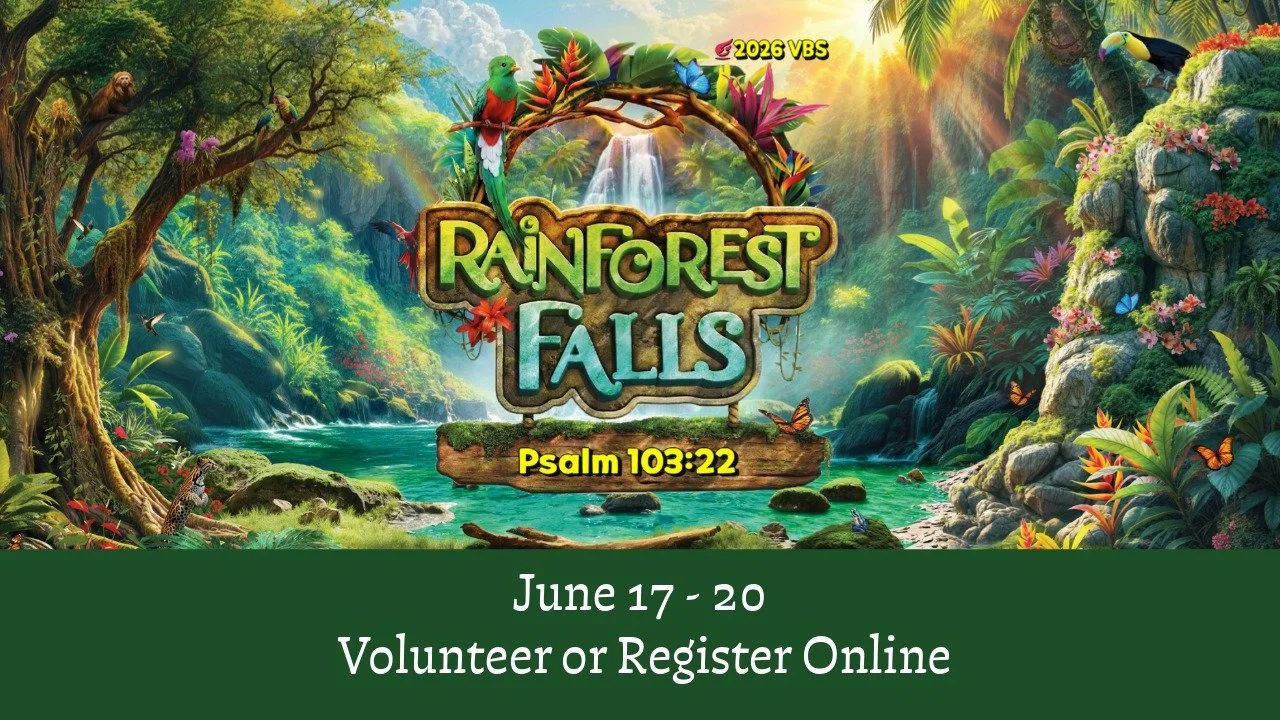 VBS 2026: "Rainforest Falls"