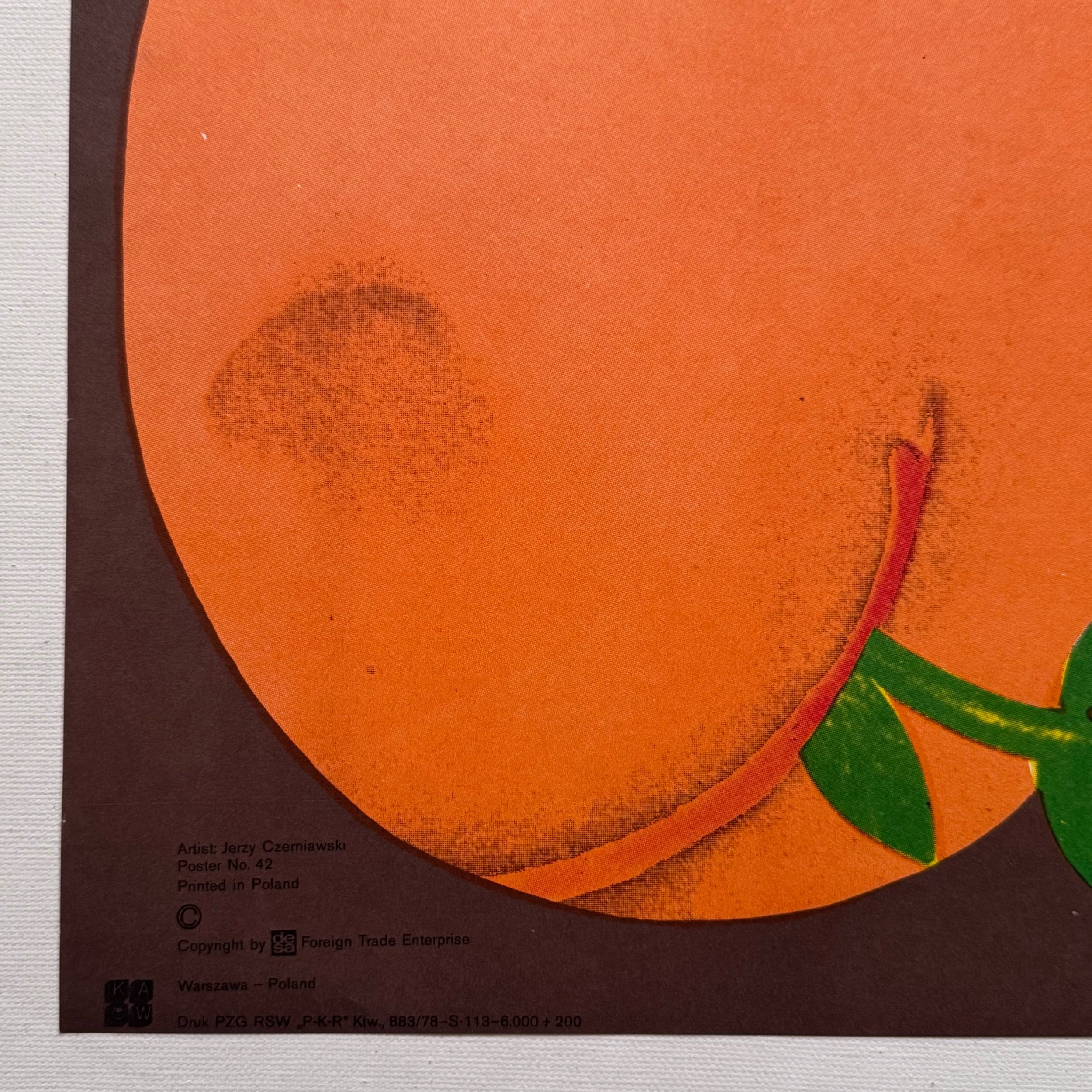Jerzy Czerniawski Circus Horse Polish Poster 1973