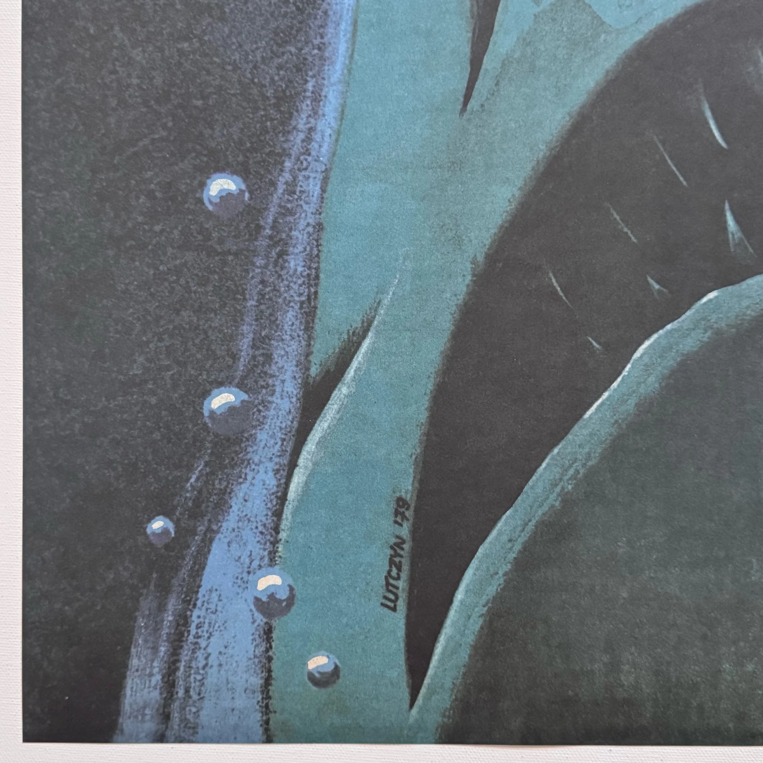 Edward Lutczyn Szczeki 2 Reprint Jaws 2 Polish Film Poster