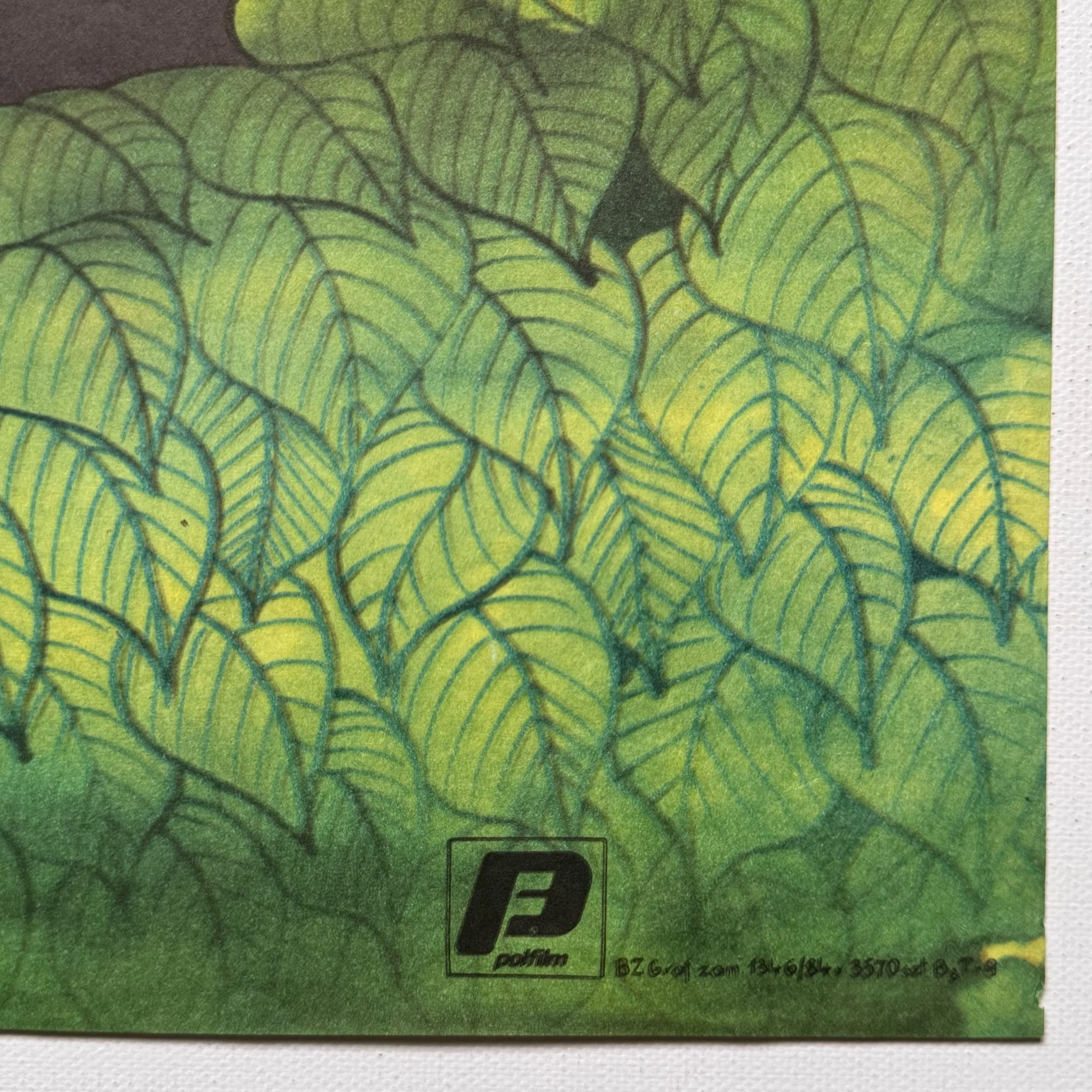 Polish film poster designed by Edward Lutczyn in 1984 for the release of the Polish film ‘Tajemnica Starego Ogrodu’ (The Mystery of the Old Garden), directed by Julian Dziedzina.