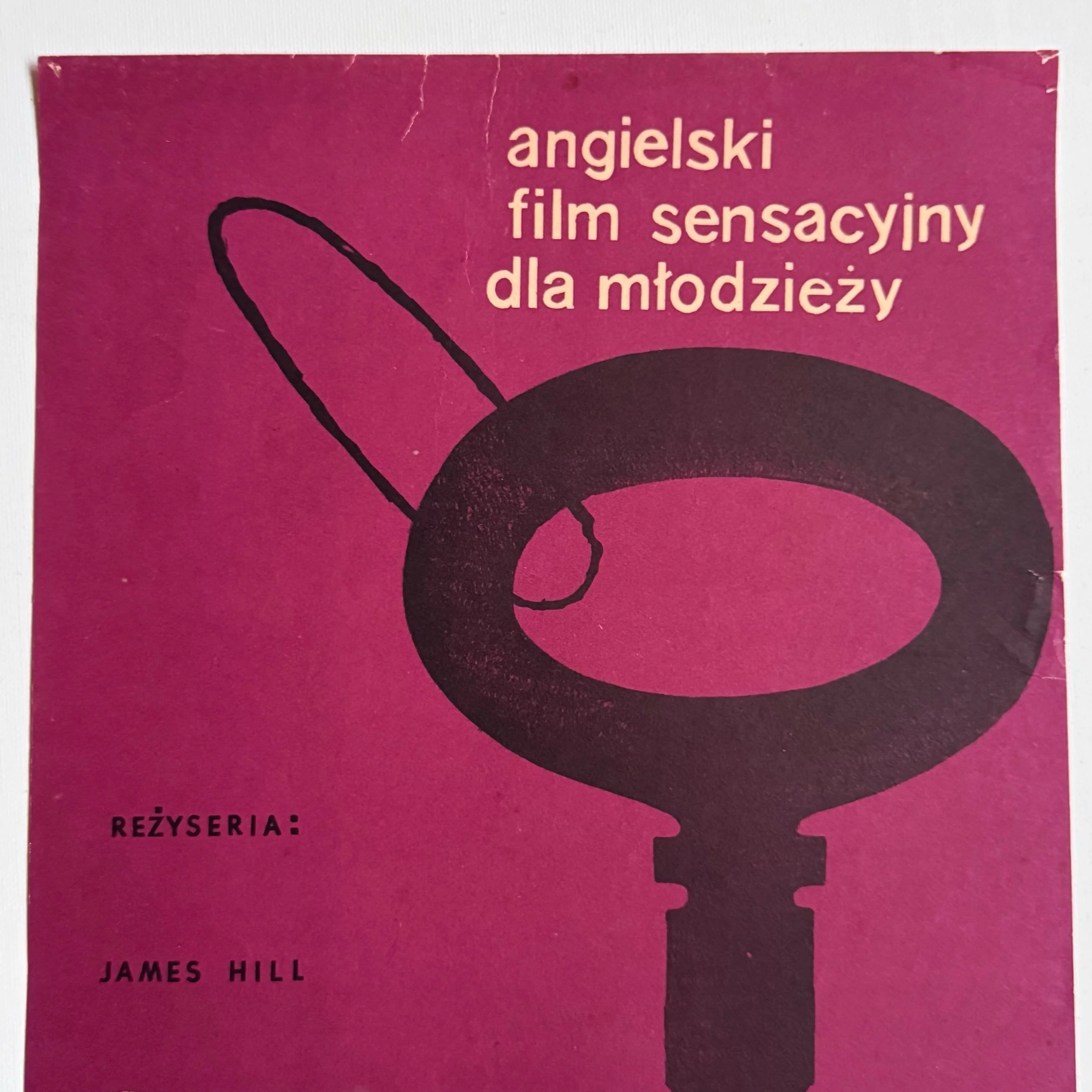 Skradzione Plany Polish Film Poster by Maciej Hibner The Stolen Plans 1952