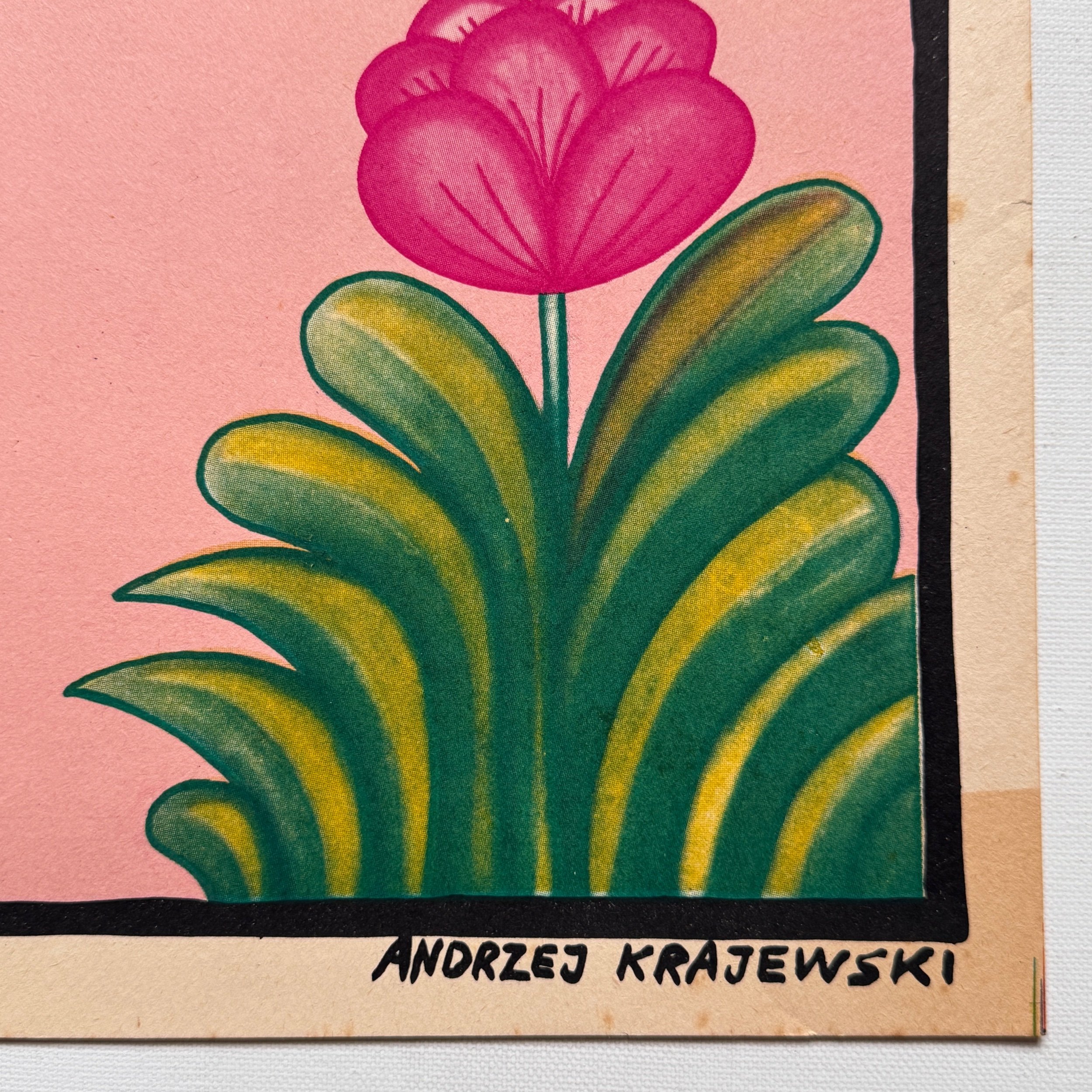 Siedem Razy Kobieta Andrzej Krajewski 1968 Seven Times Woman Polish Film Poster