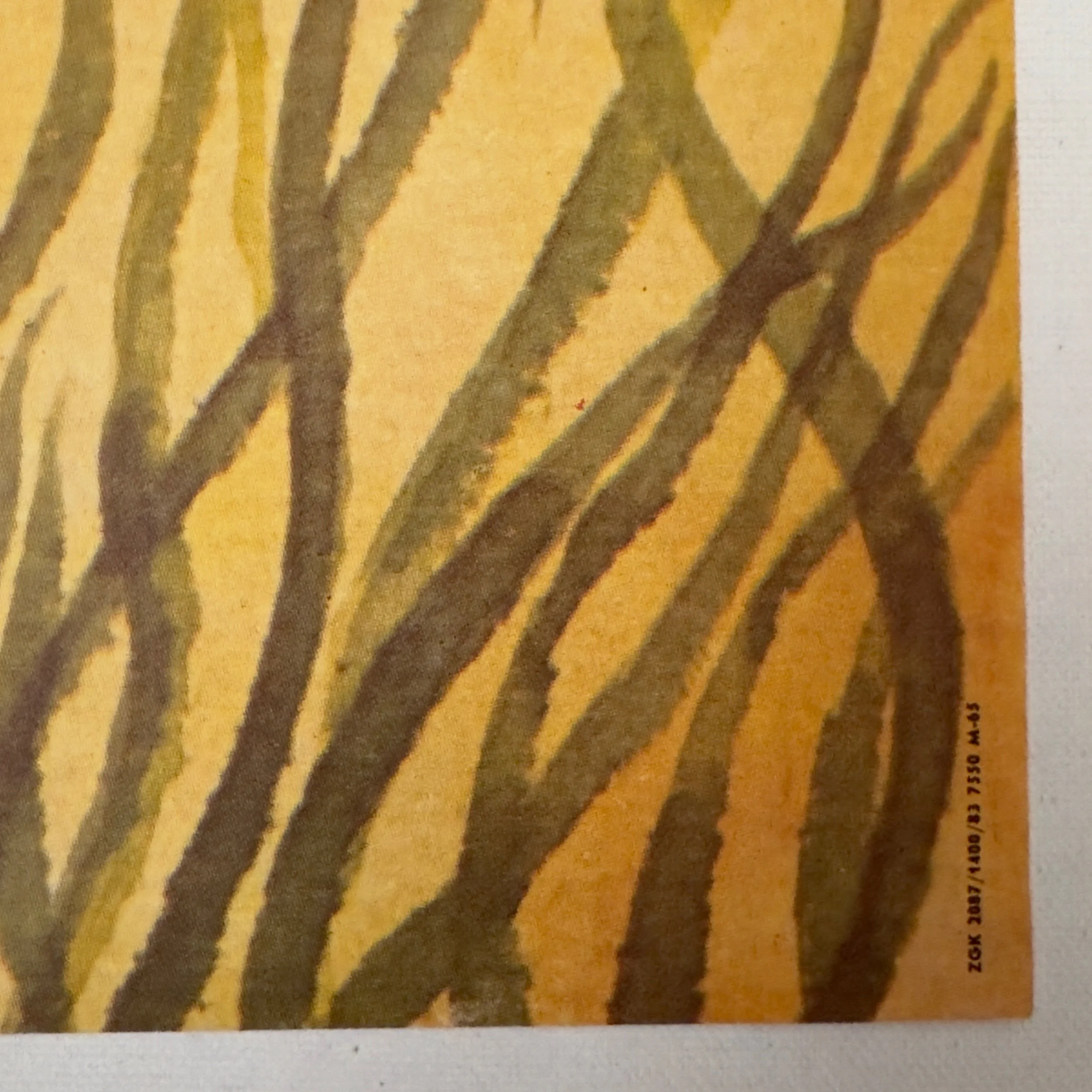 Wspomnienia ze Starego Pekinu Wlodzimierz Terechowicz 1983 My Memories of Old Beijing Polish Film poster