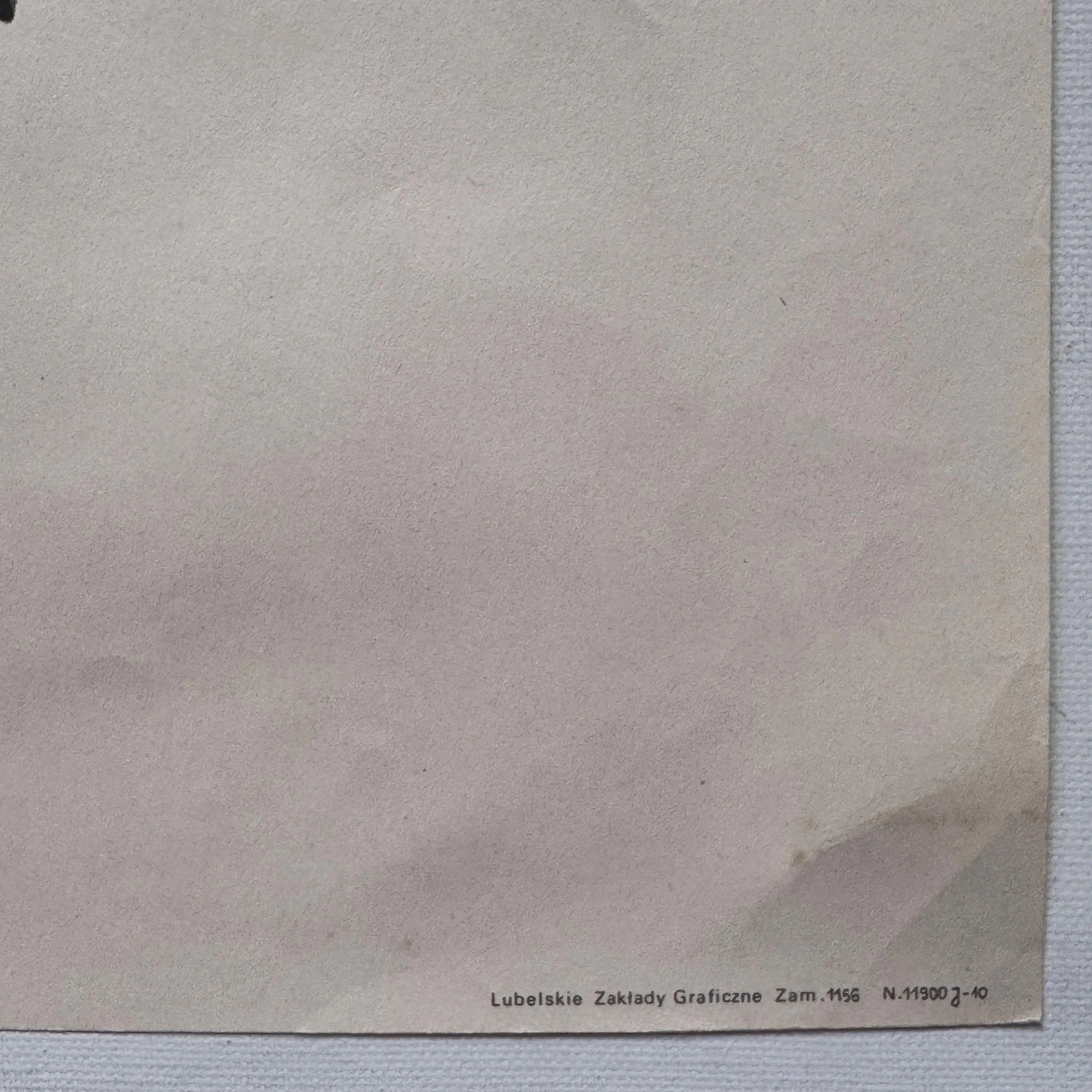 Spozniona Milosc Elzbieta Procka Vintage Polish Poster 1976 Late Love