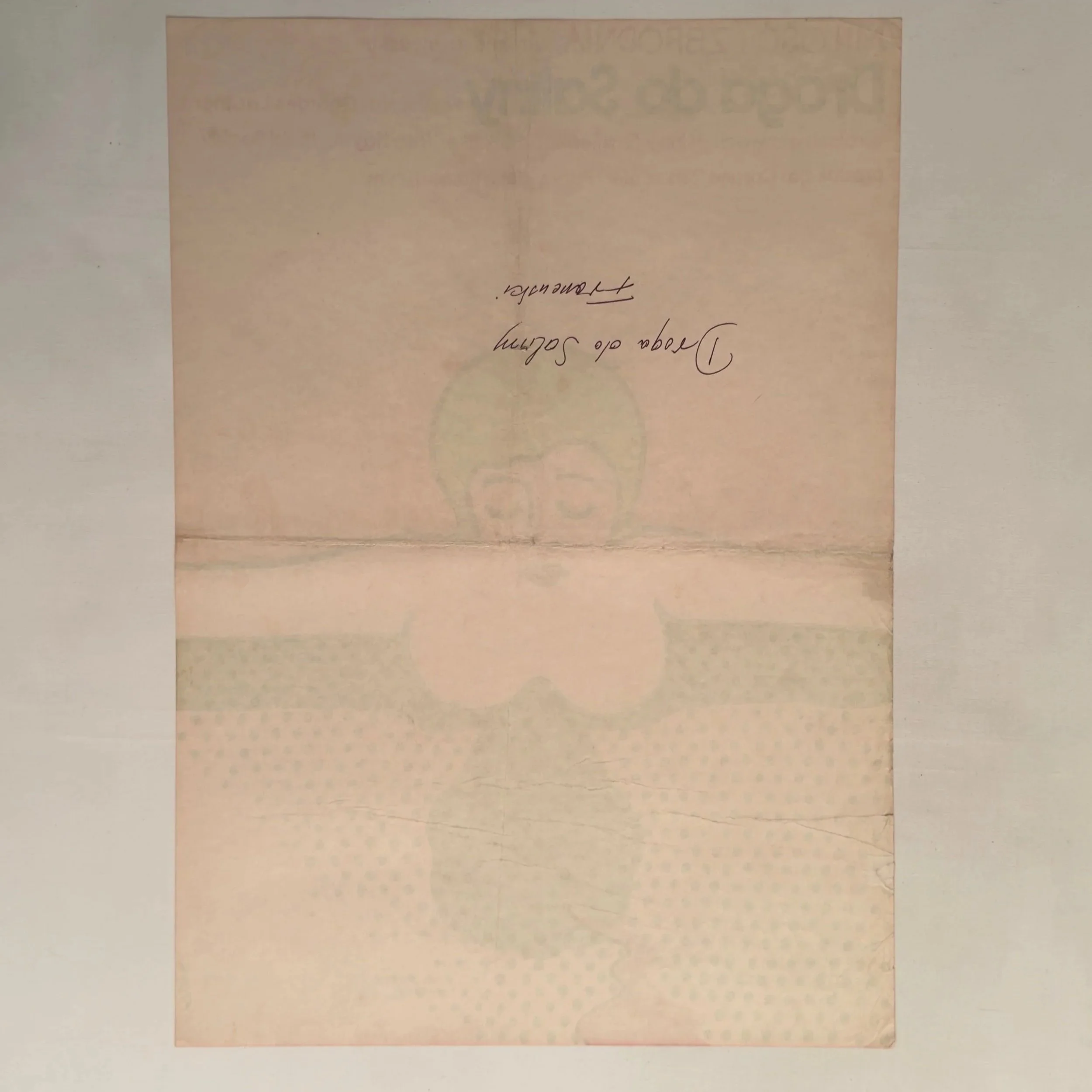 Droga Do Saliny Jerzy Flisak 1973 Vintage Polish Poster Road to Salina