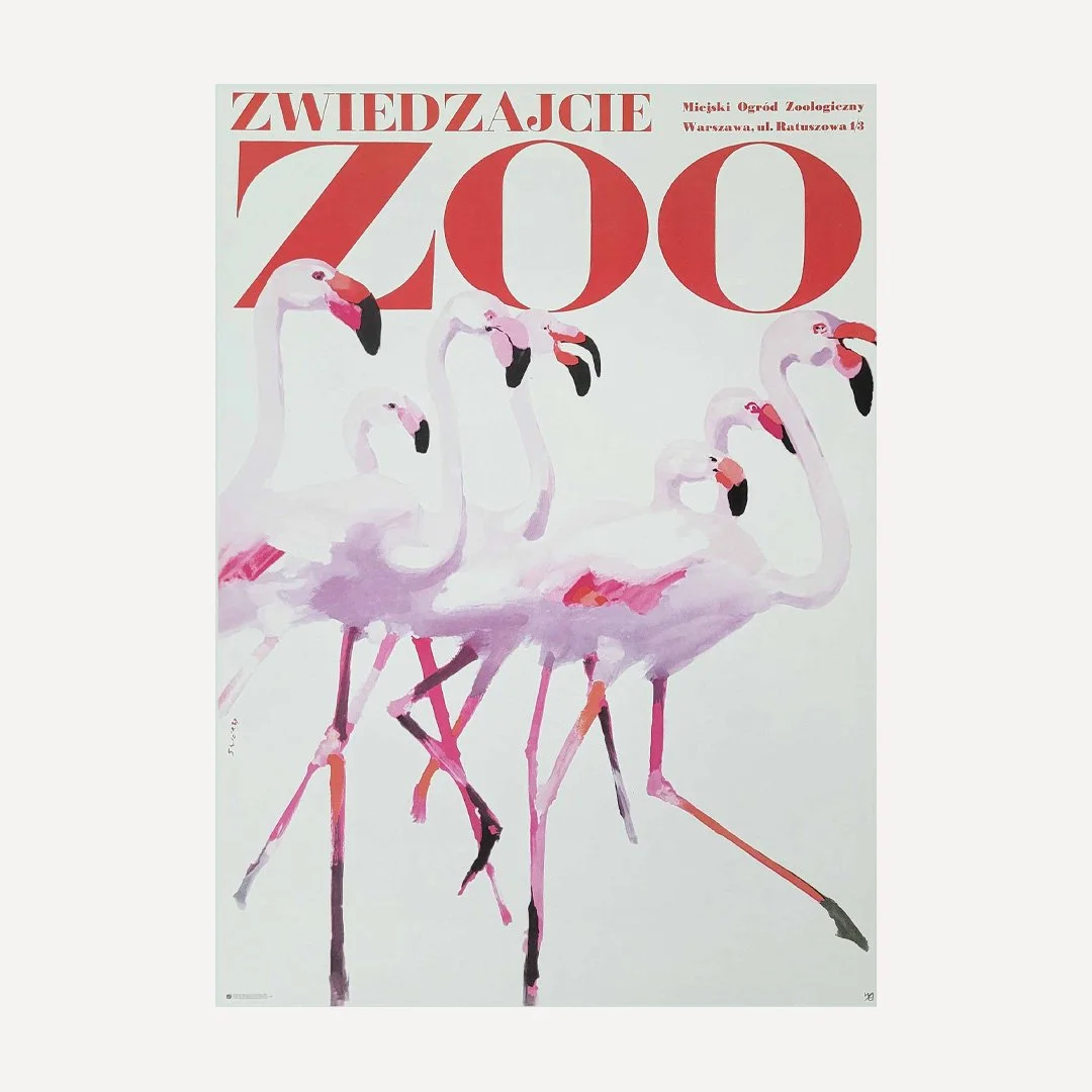 Zwiedzajcie Zoo Waldemar Swierzy Flamingos Polish Poster