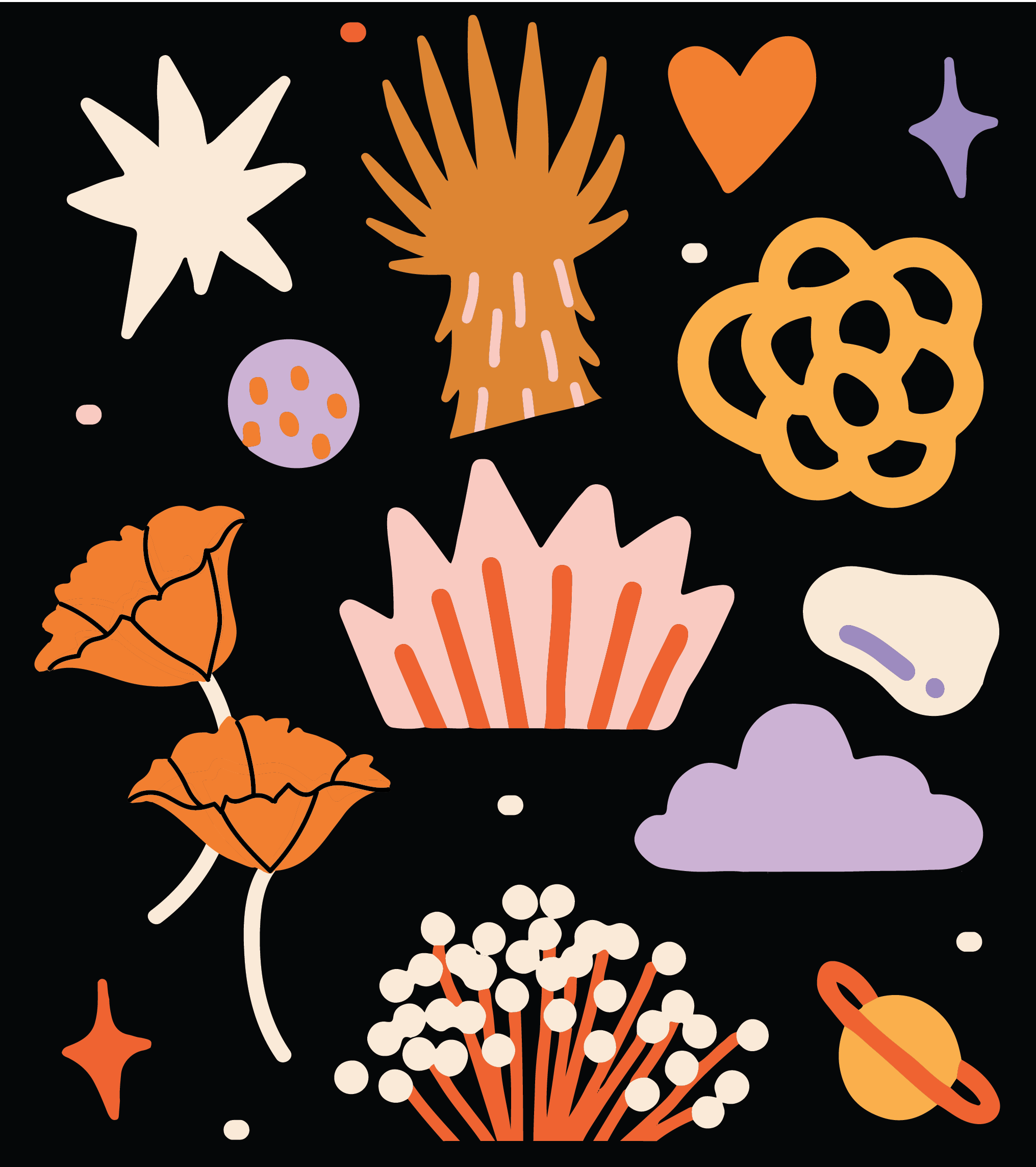 illustration elements-07.png