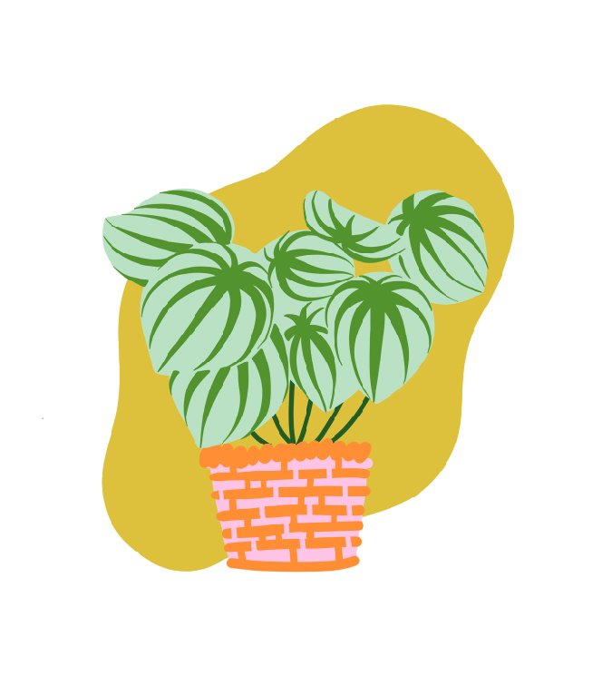 plants-05.jpg