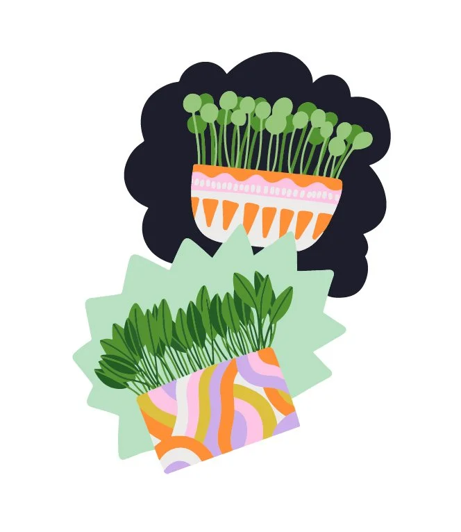 plants-04.jpg