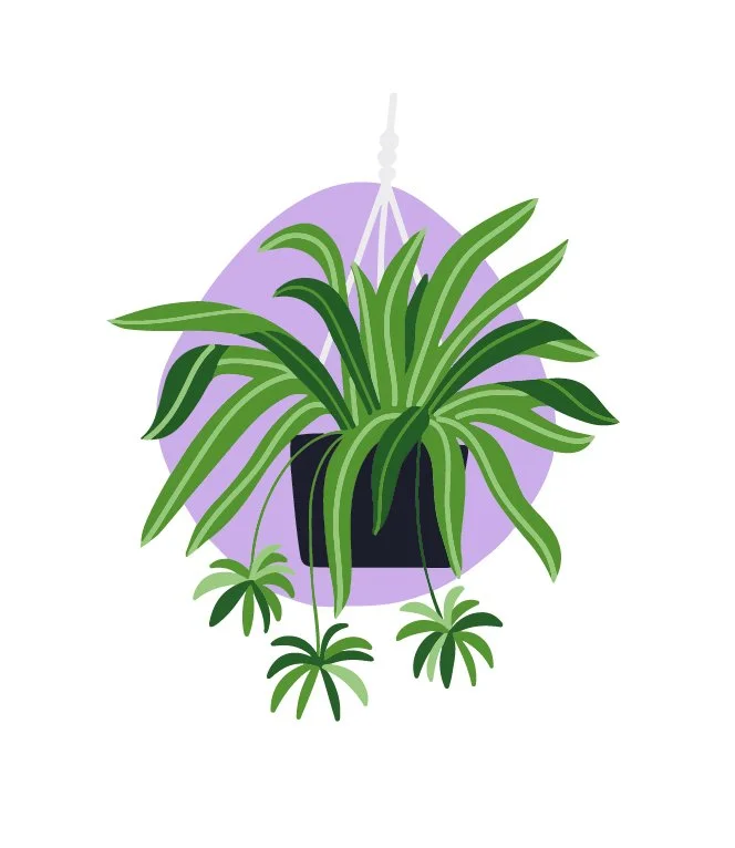 plants-03.jpg