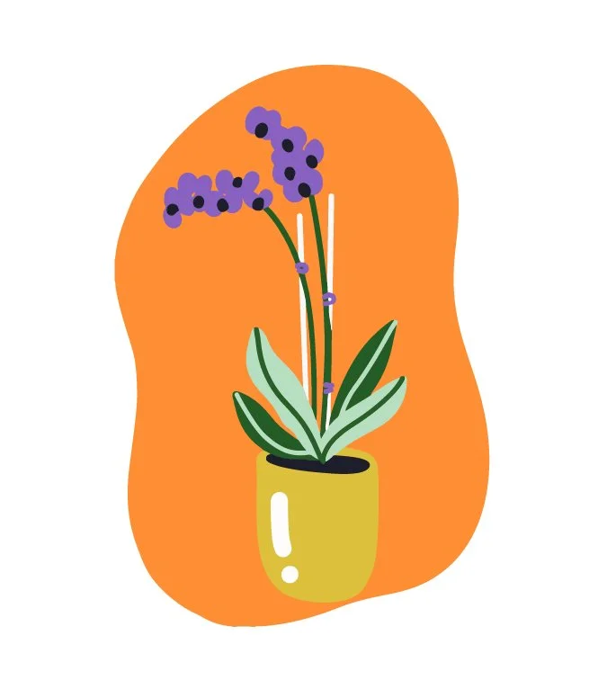 plants-02.jpg