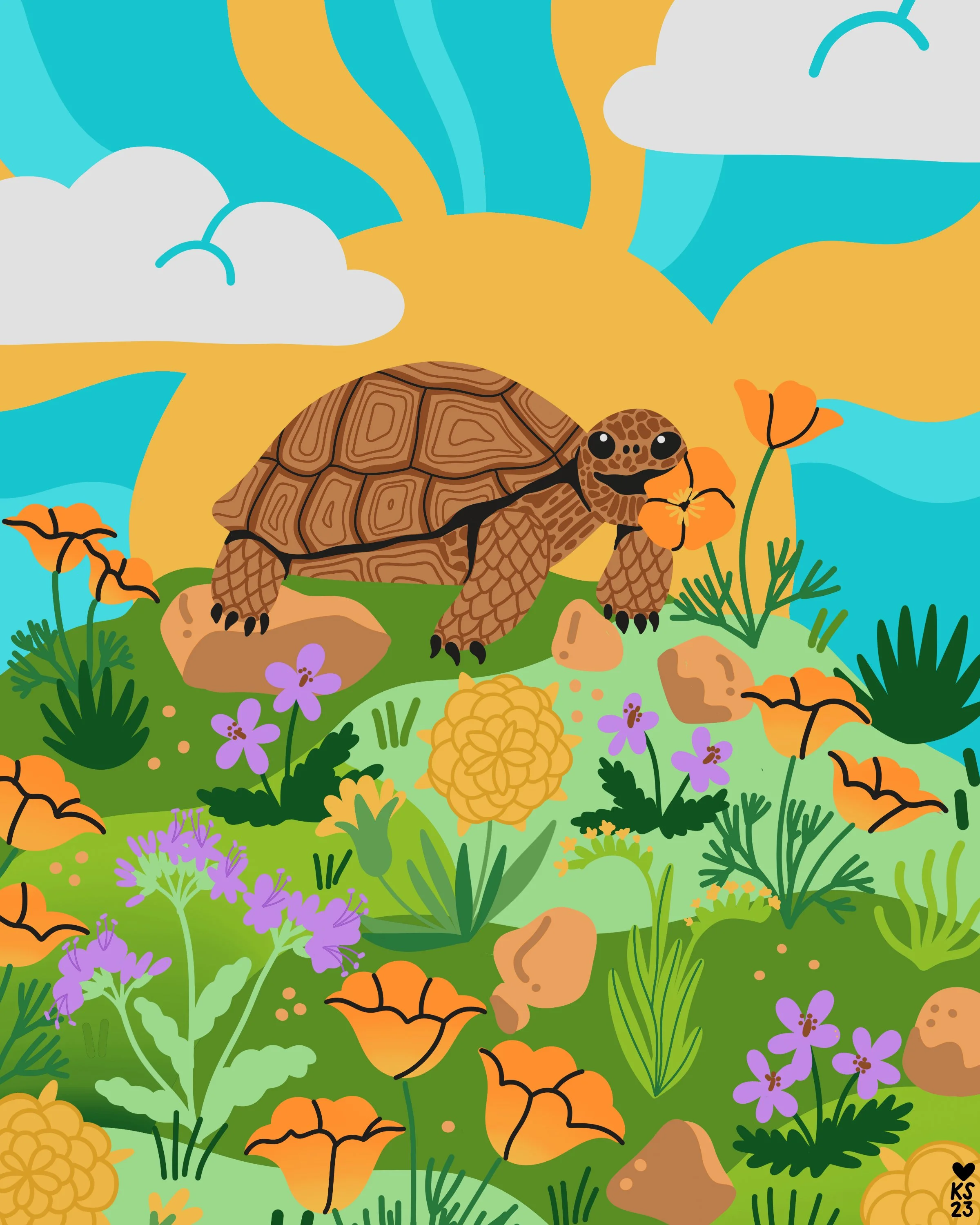 latimesplants-tortoise-4-5.jpg