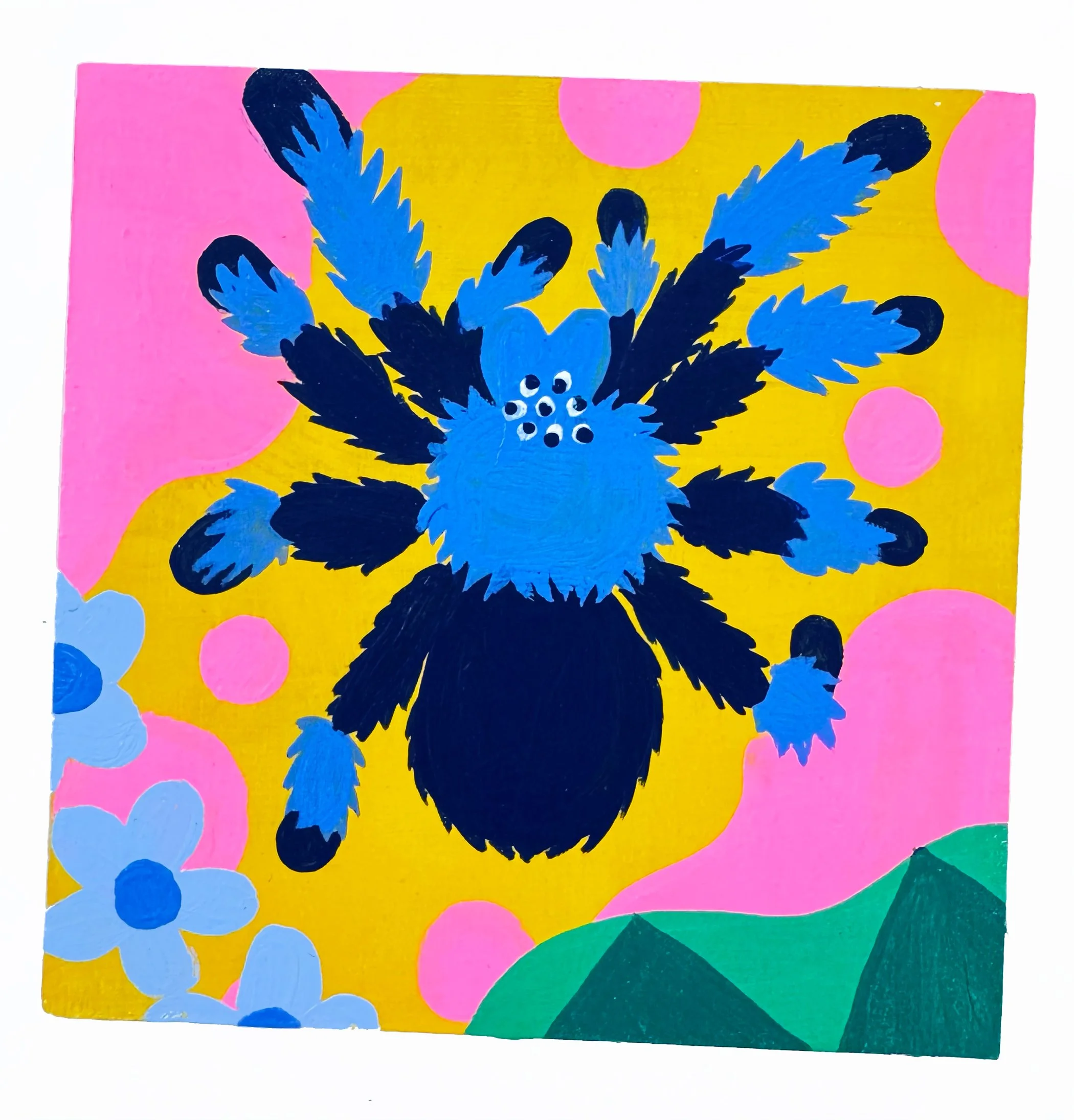 tarantula.jpg